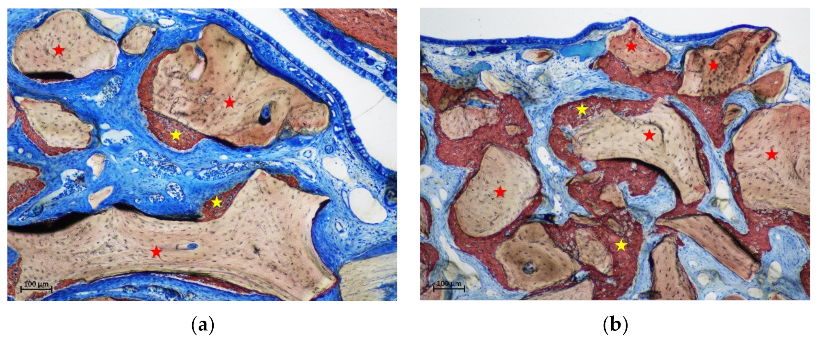 Materials 15 08077 g009 Materials 15 08077 g009