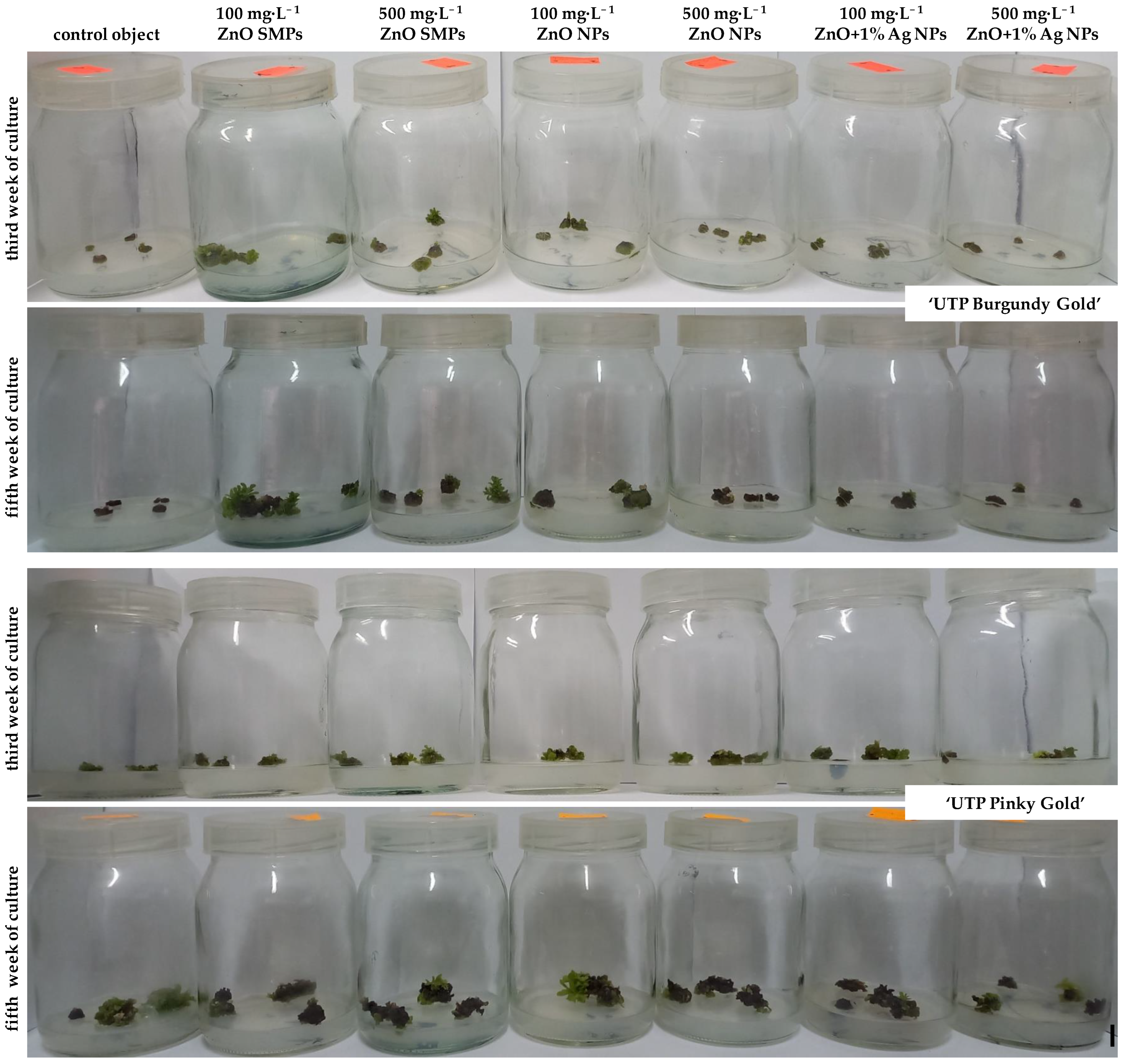 Materials 15 08192 g006