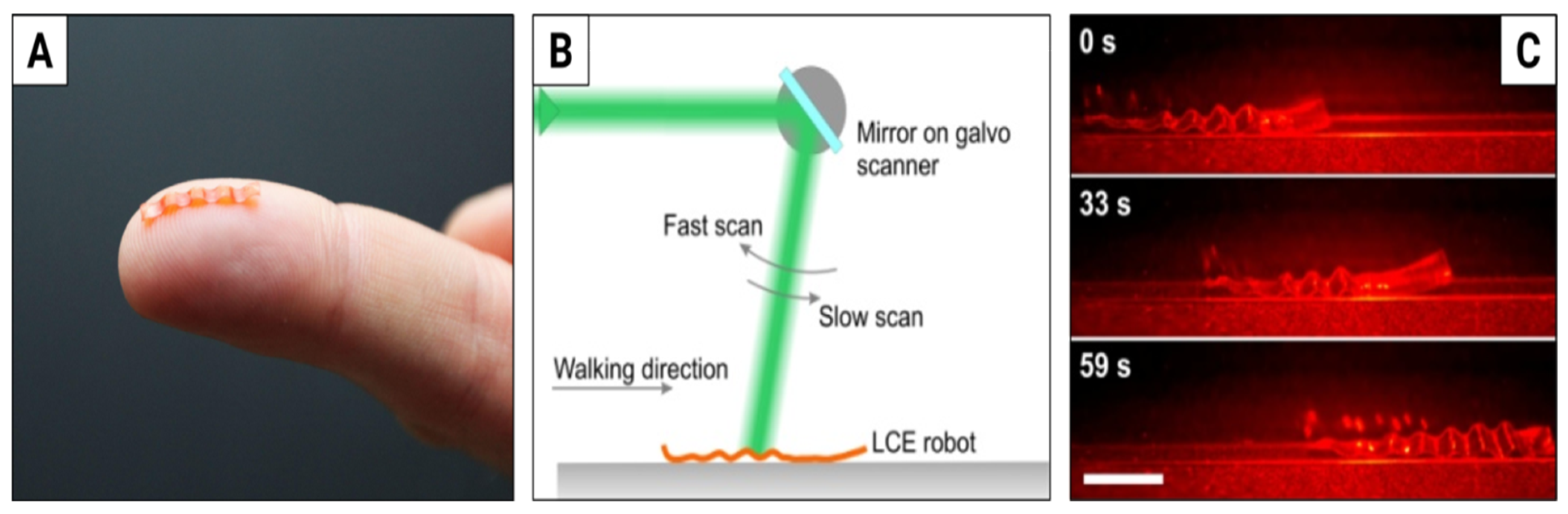 Materials 15 08214 g004