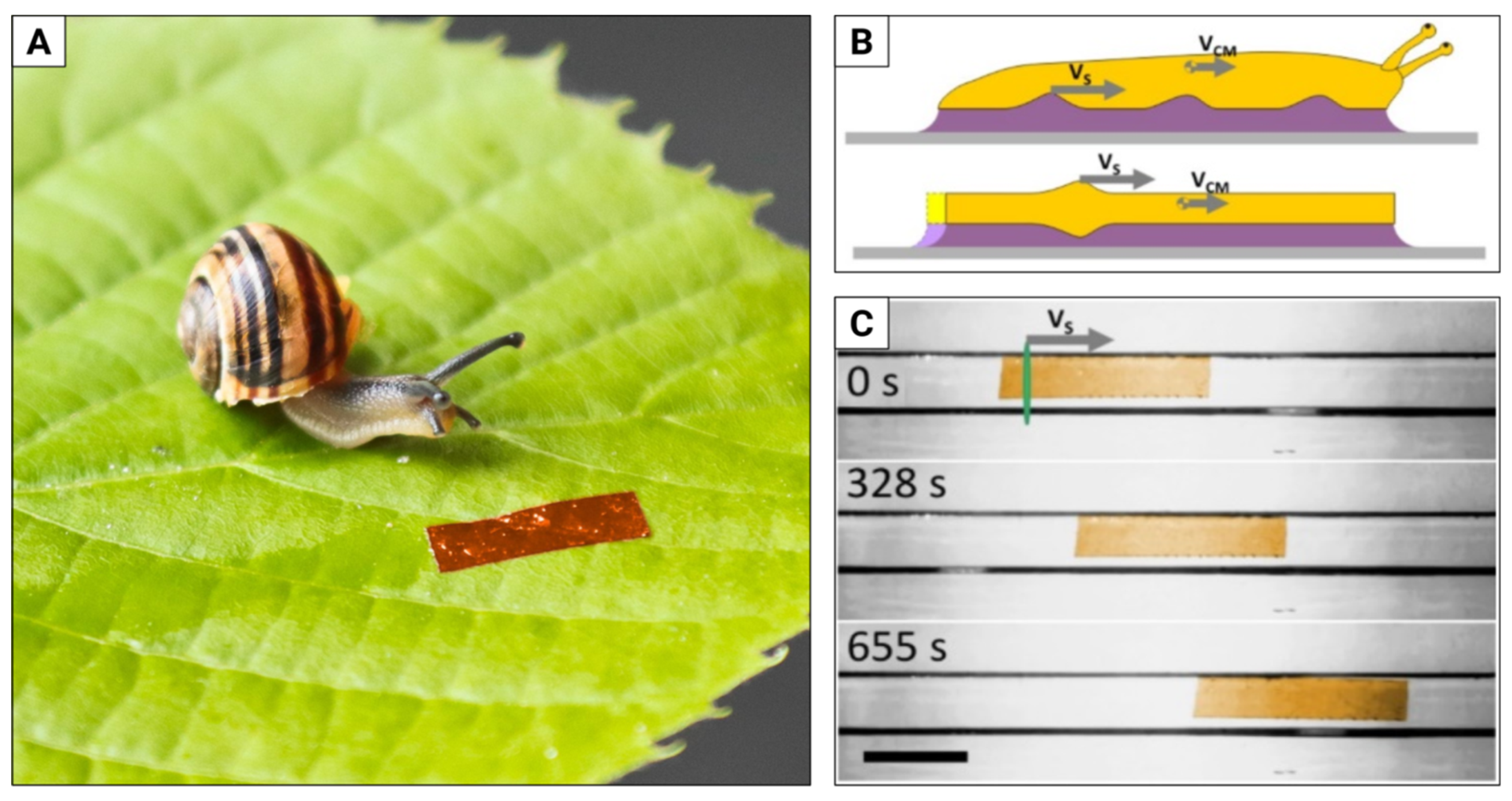 Materials 15 08214 g005