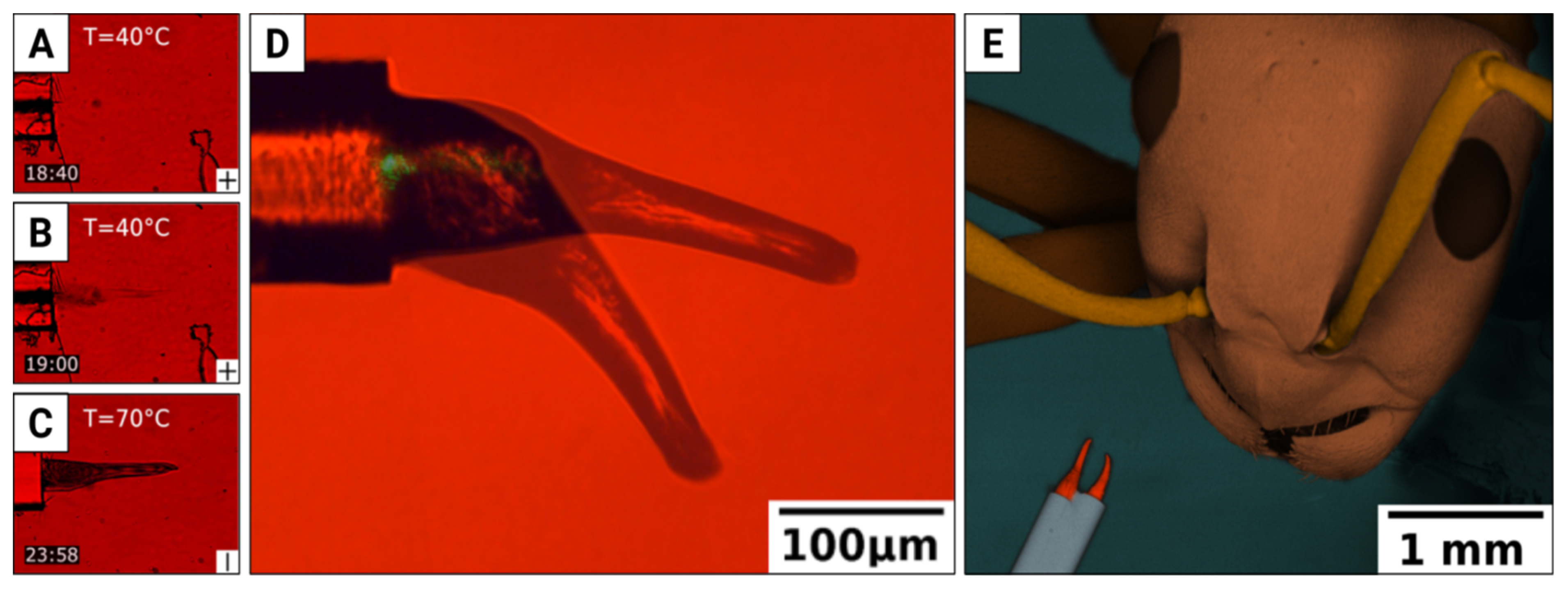 Materials 15 08214 g008