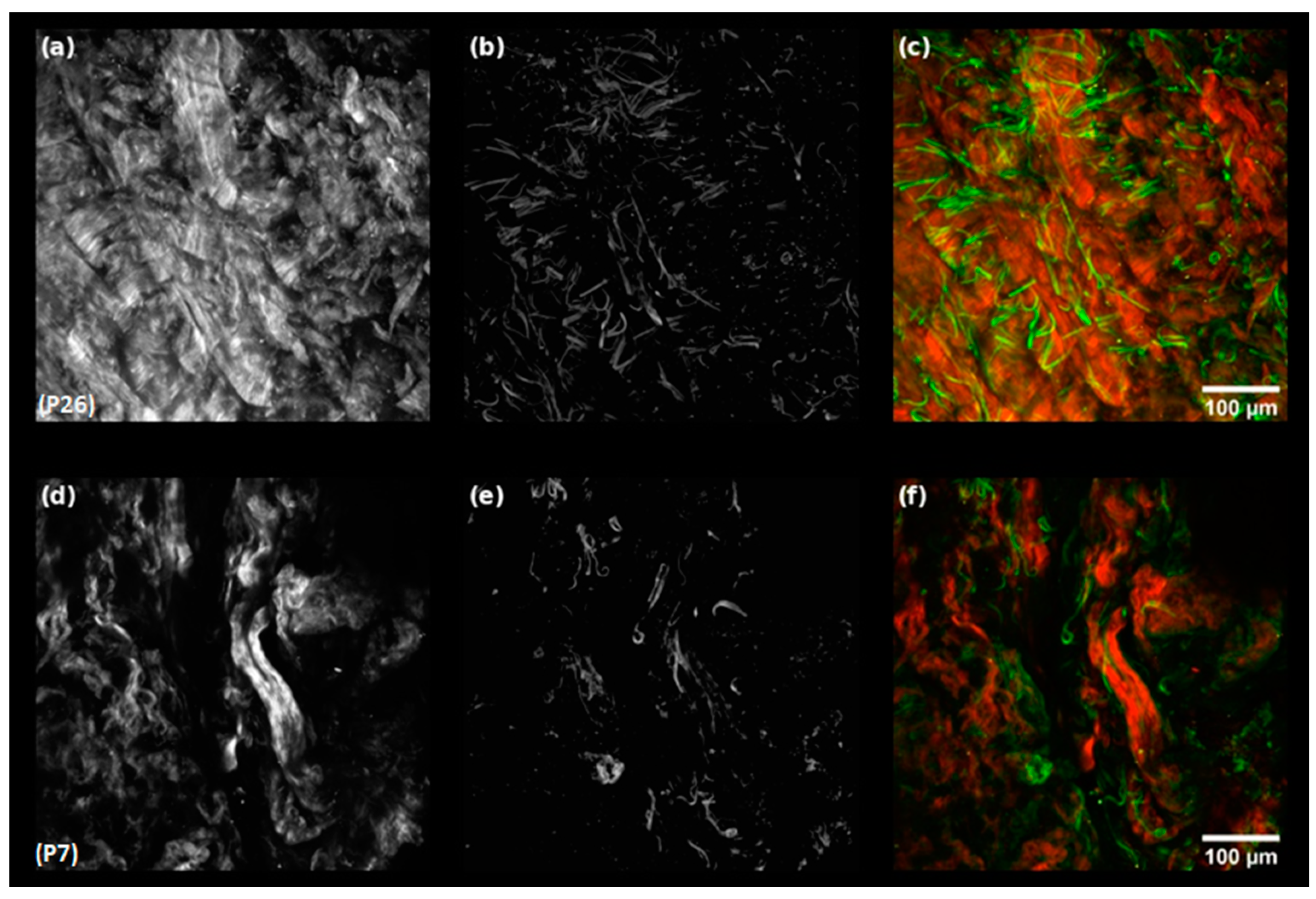 Materials 15 08258 g002