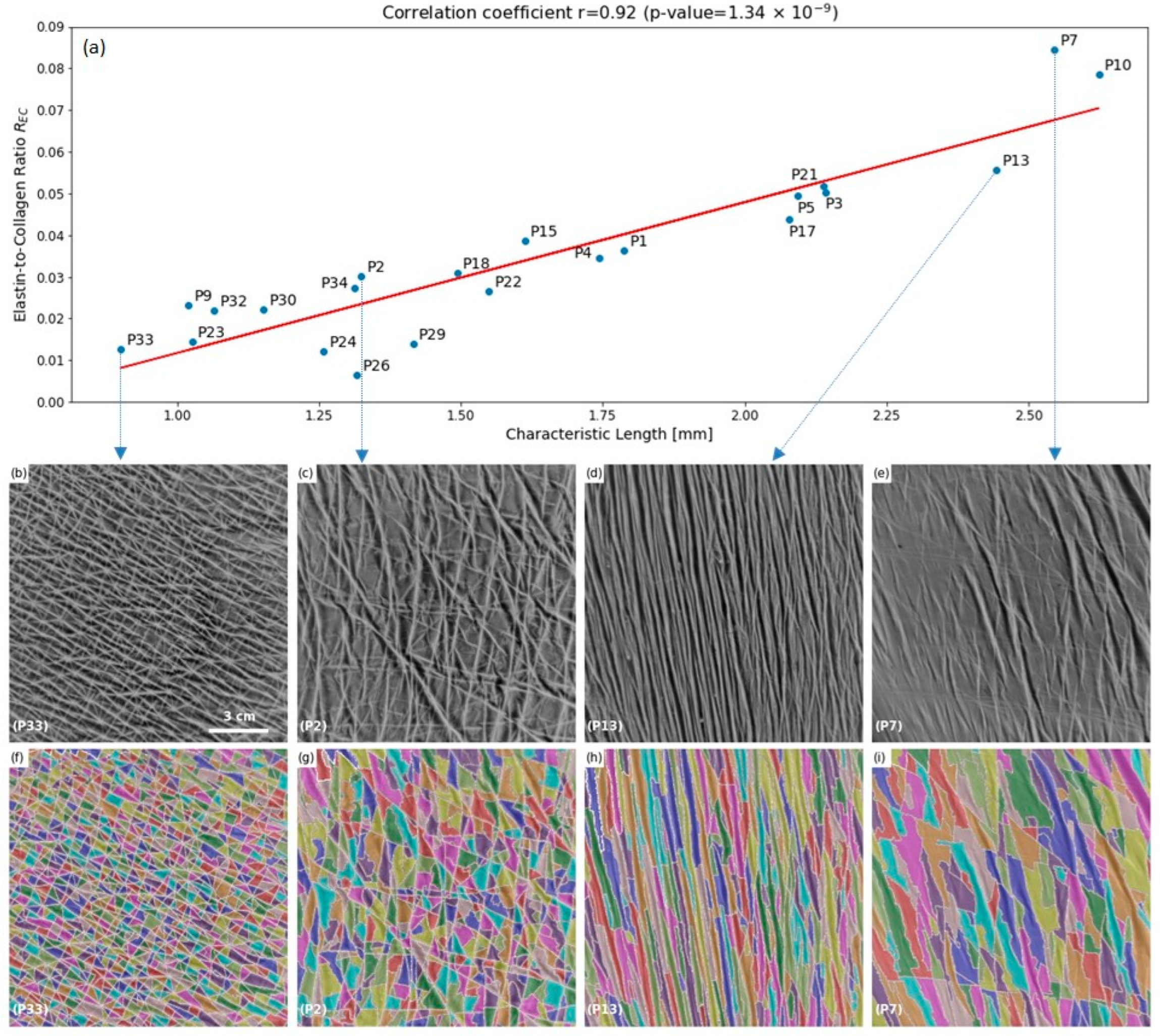 Materials 15 08258 g004
