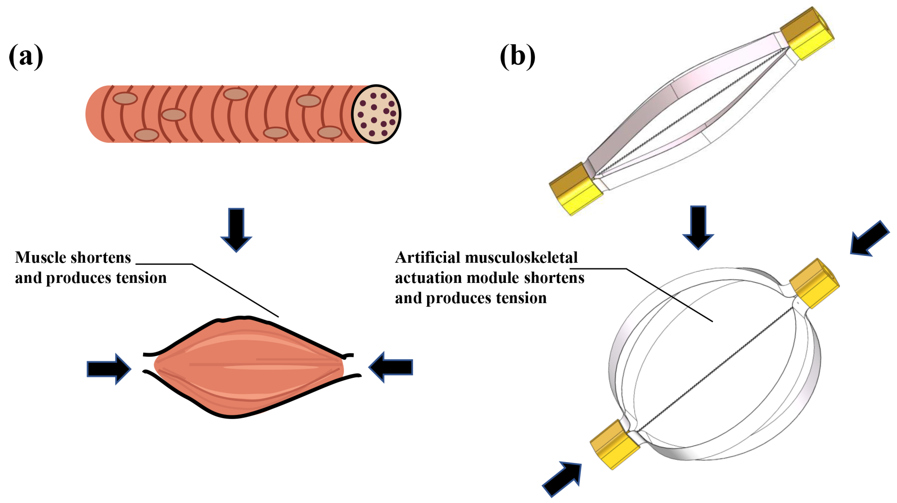 Materials 15 08261 g001