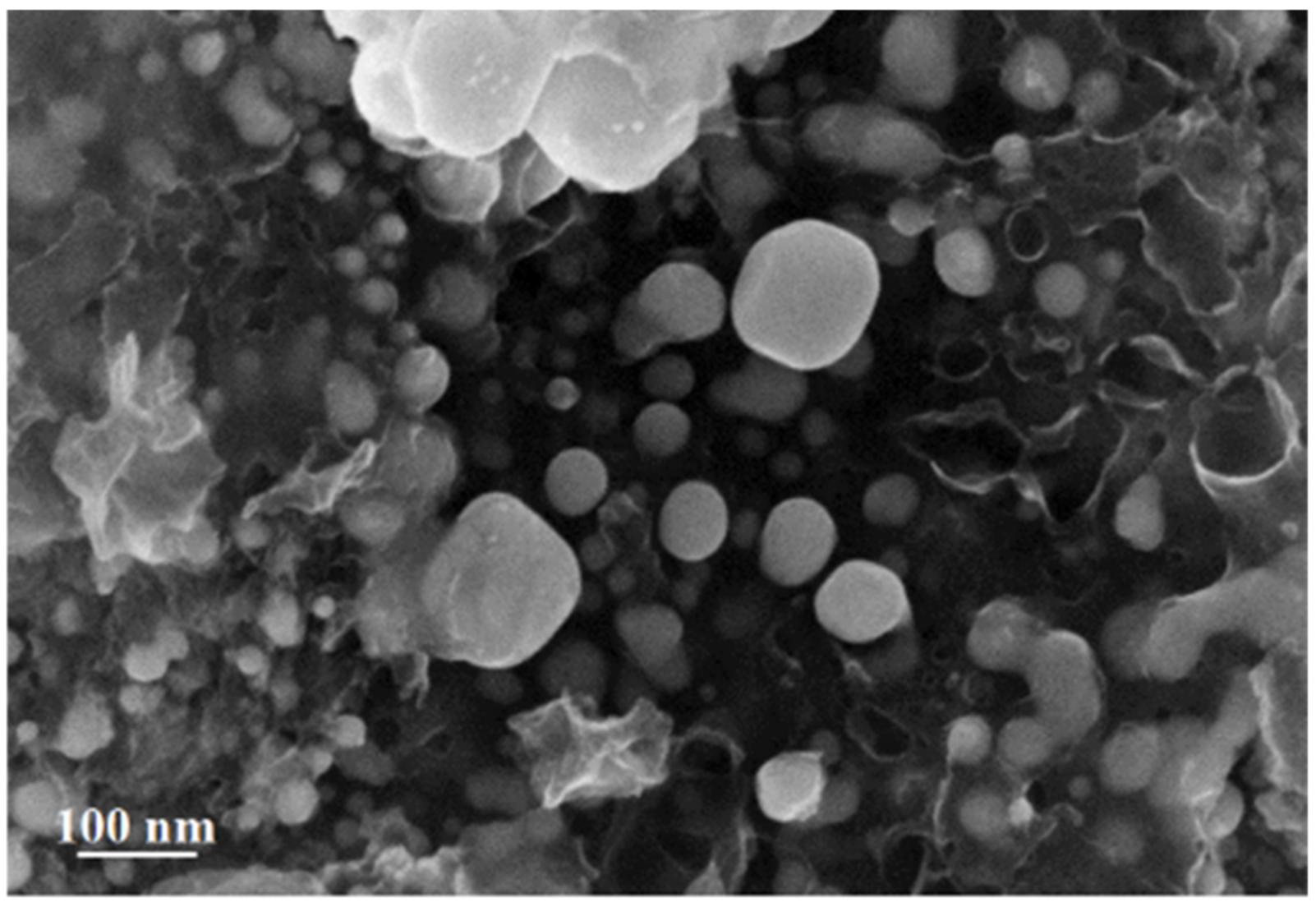 Materials 15 08376 g010