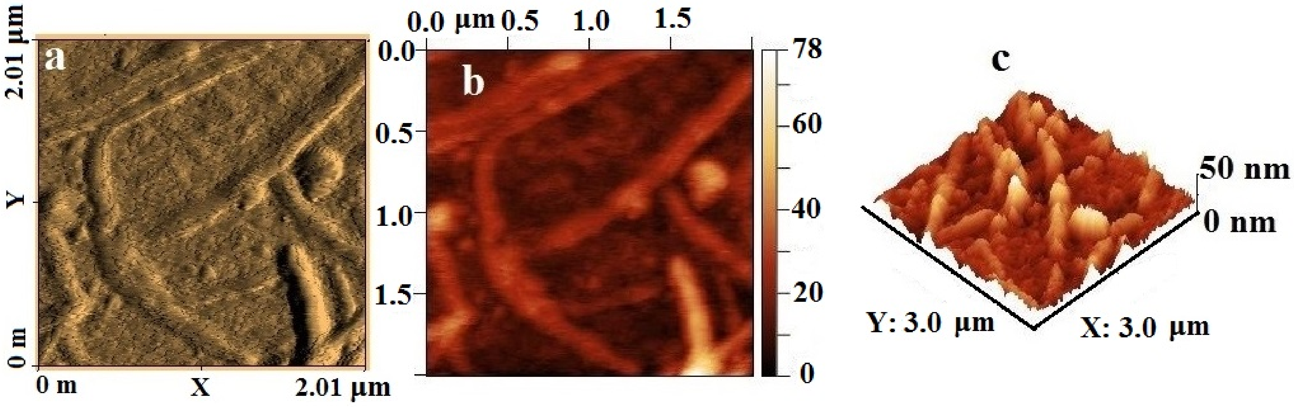 Materials 15 08376 g012