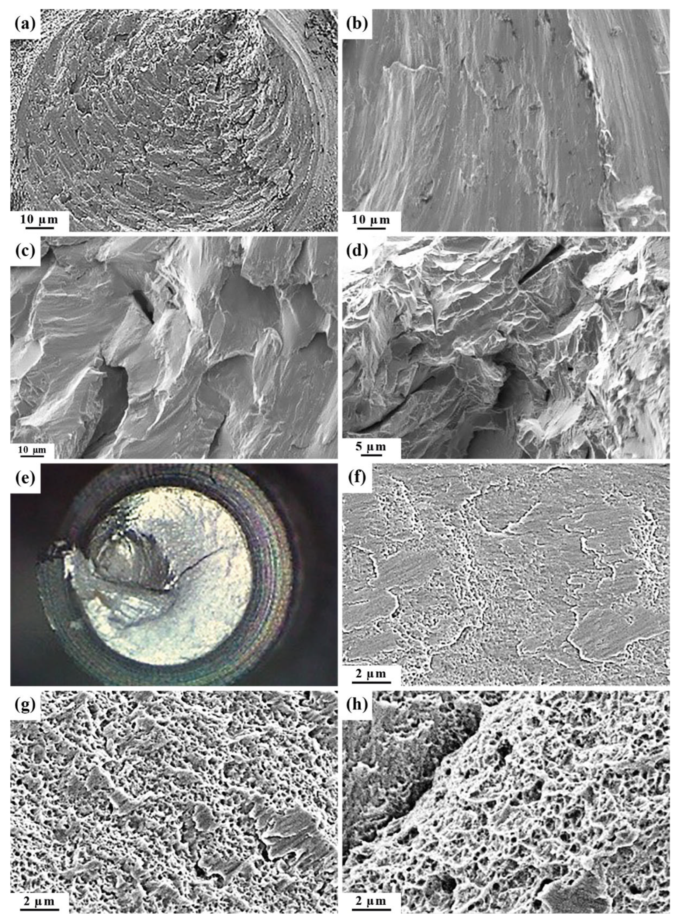Materials 15 08403 g010