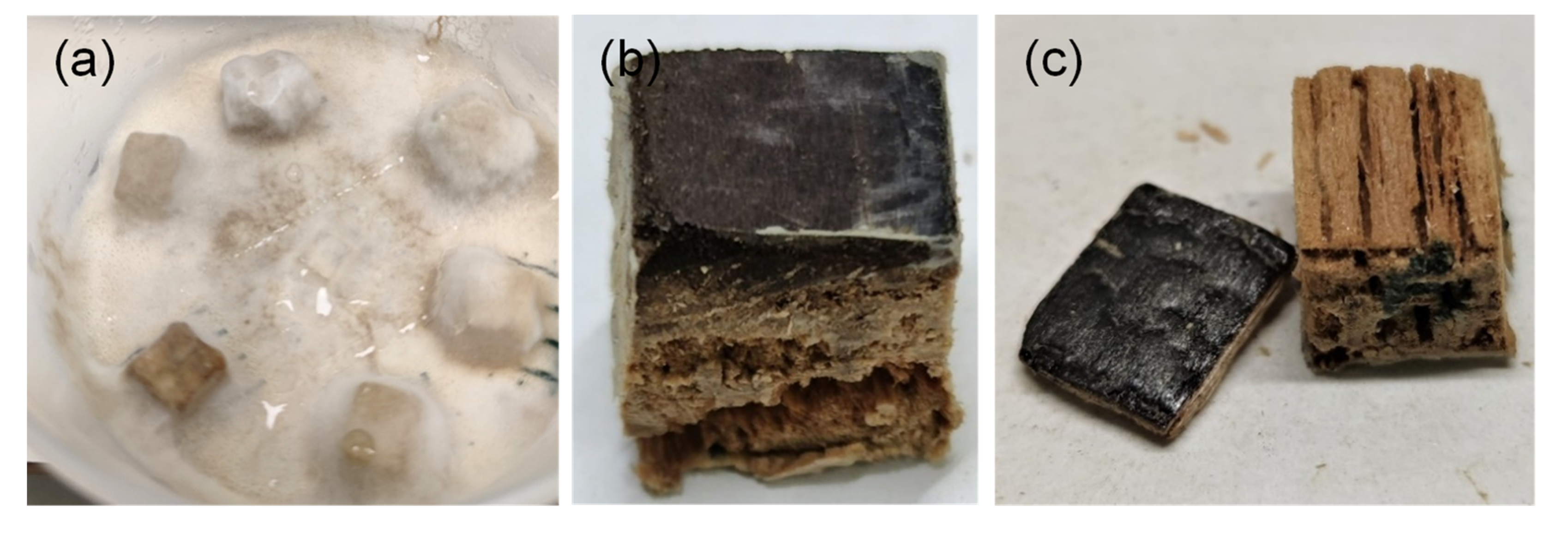 Materials 15 08410 g001