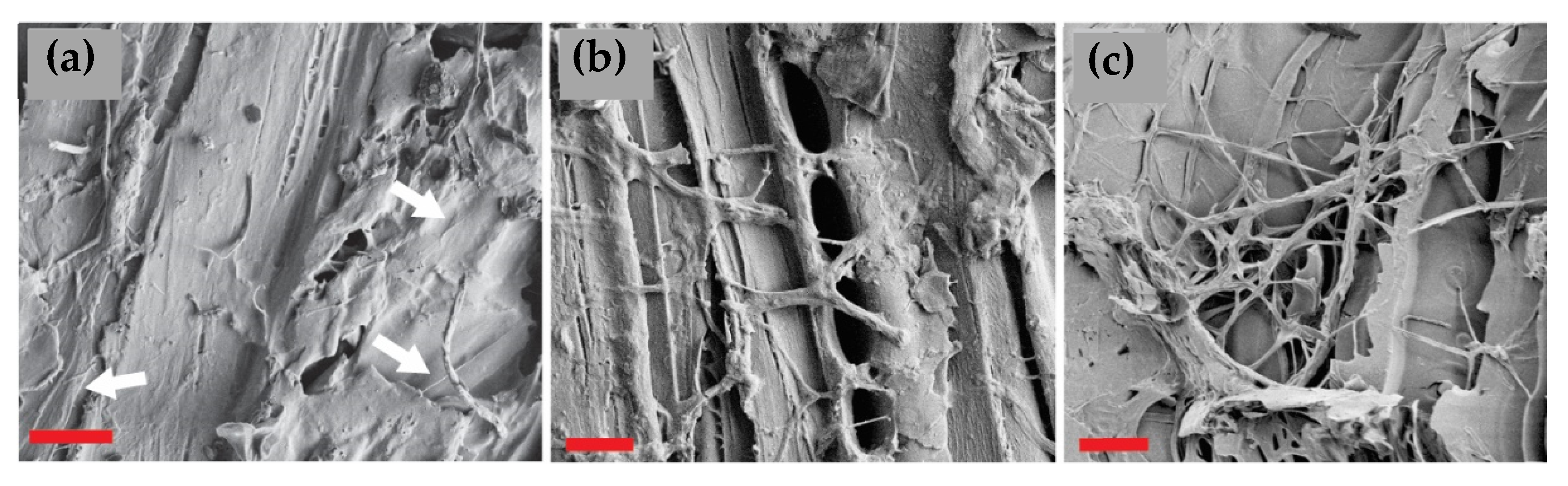 Materials 15 08410 g006