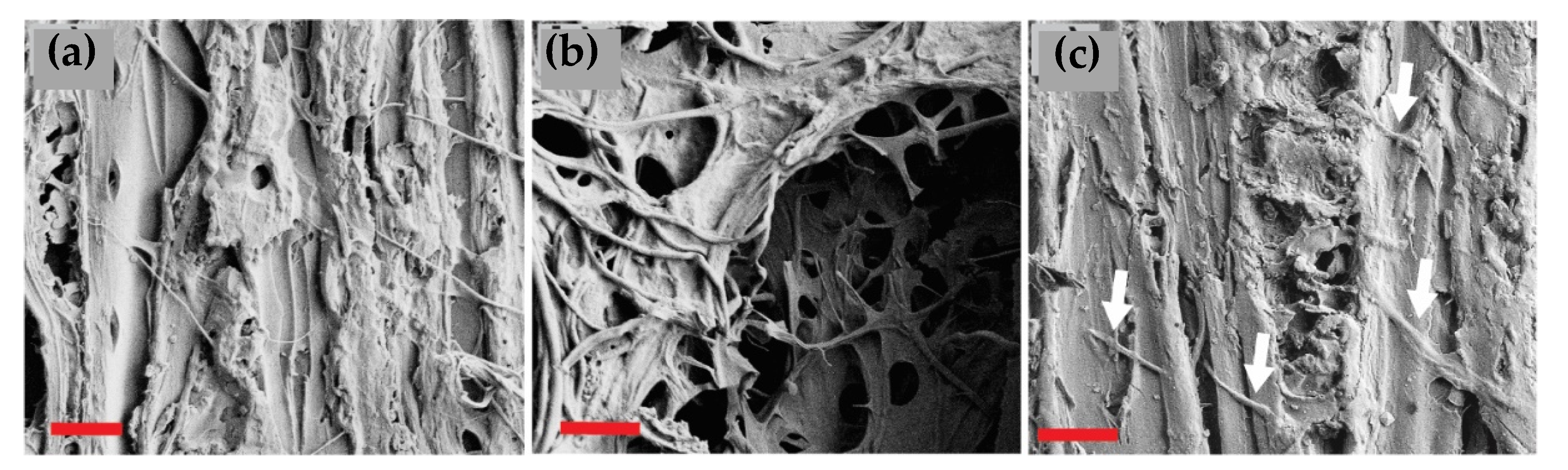 Materials 15 08410 g007