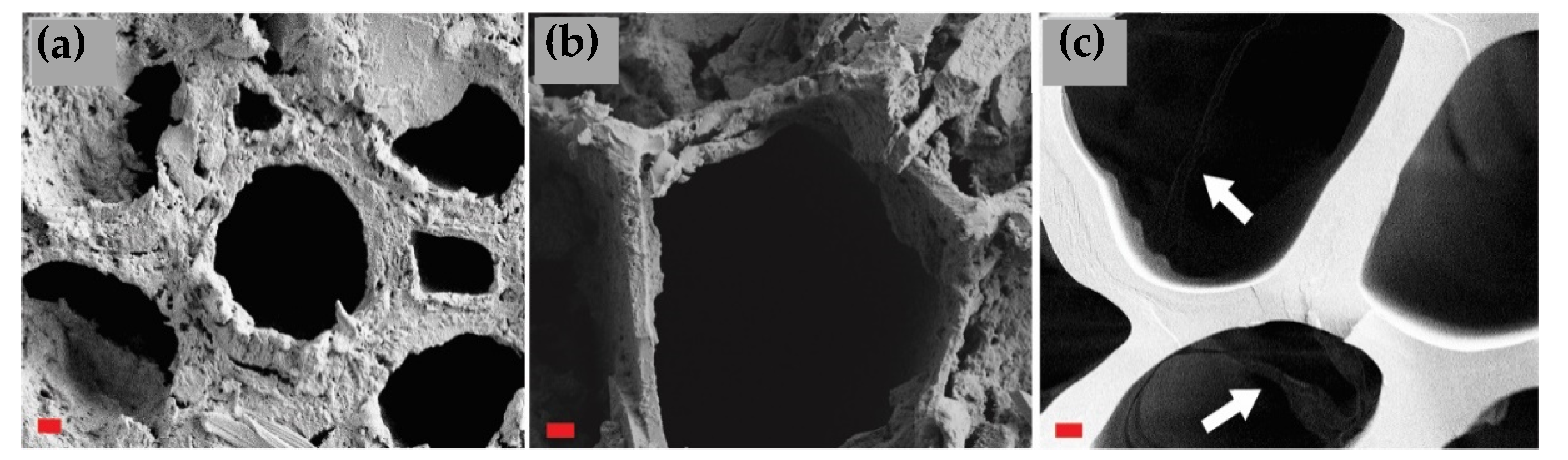 Materials 15 08410 g008