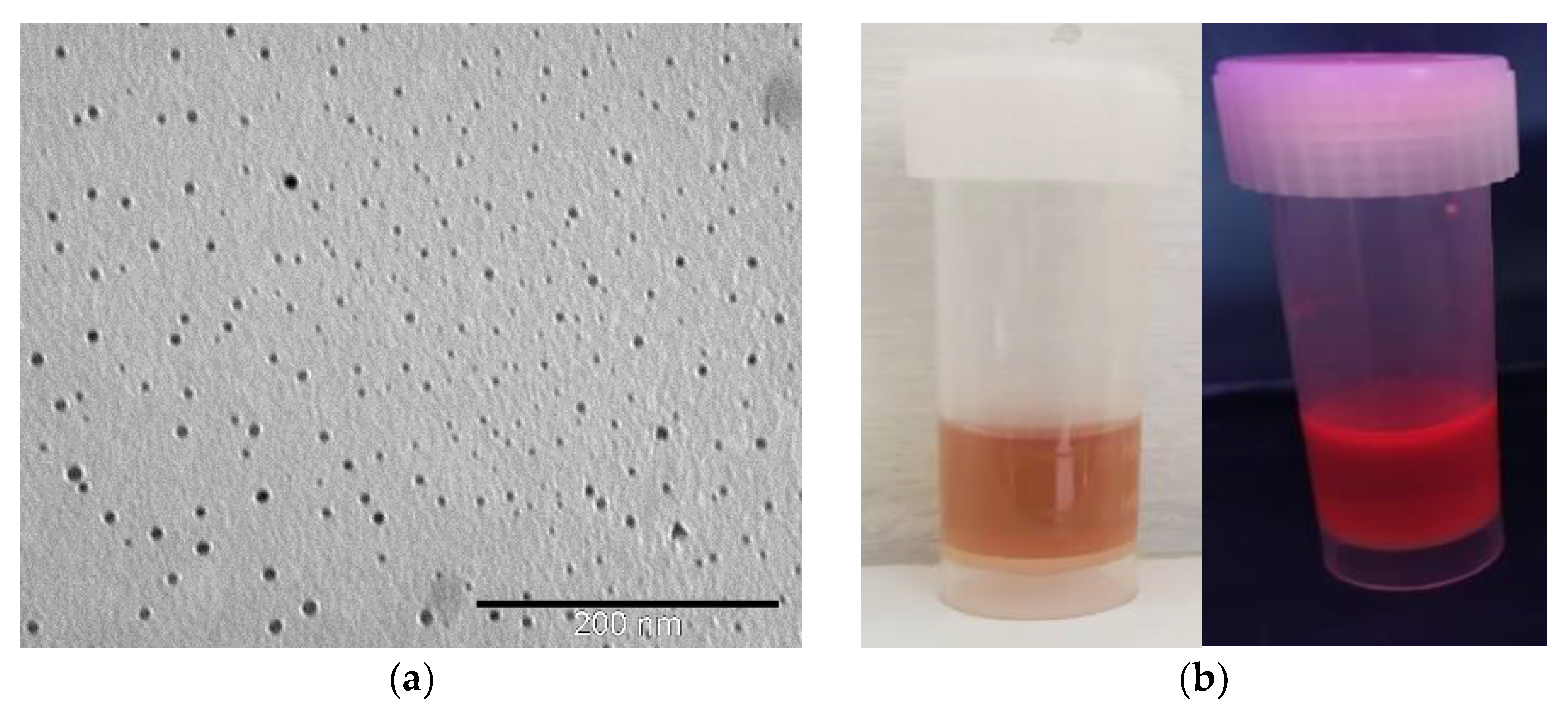 Materials 15 08448 g001a