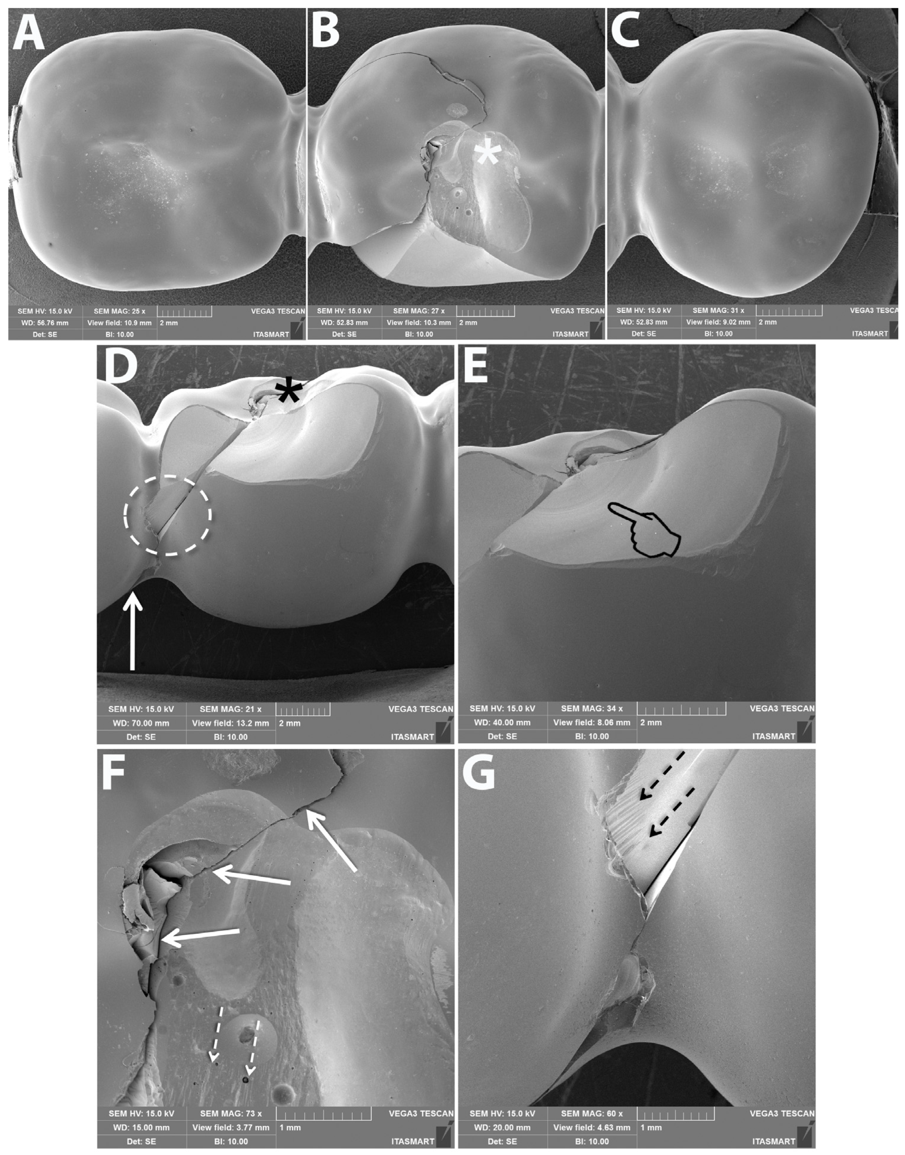 Materials 15 08465 g006 Materials 15 08465 g006