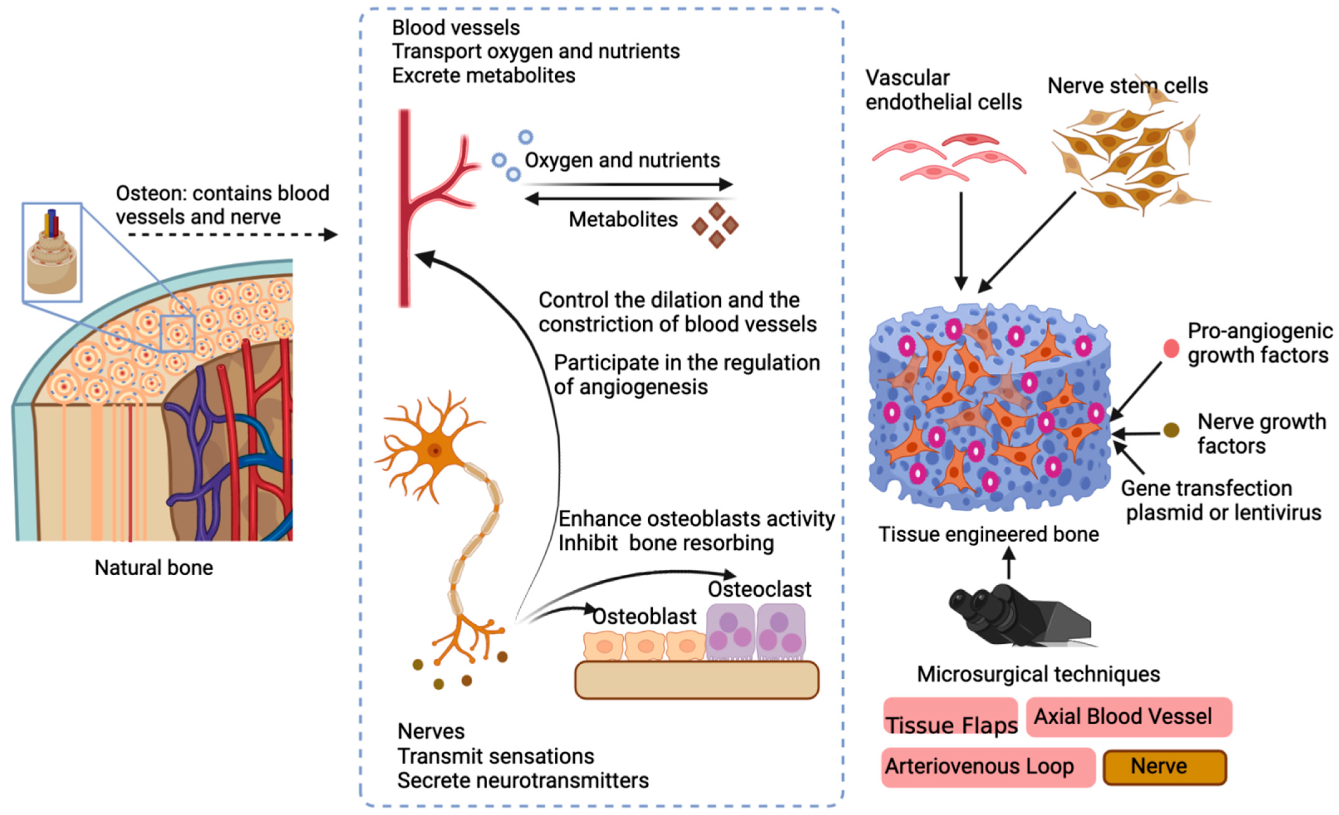 Materials 15 08475 g004
