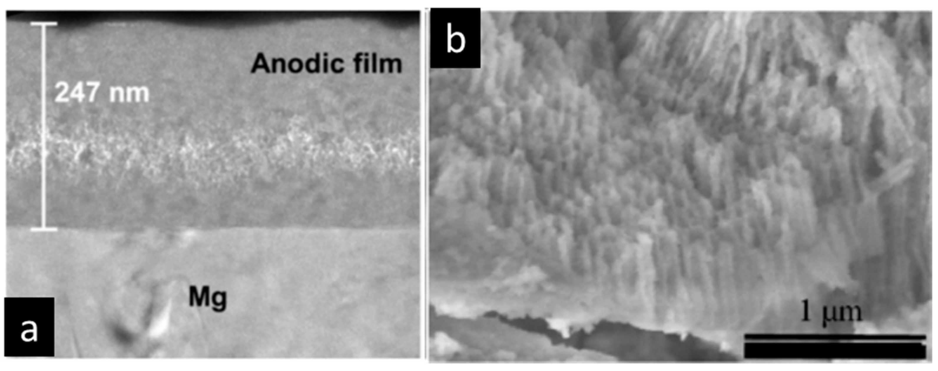 Materials 15 08515 g016