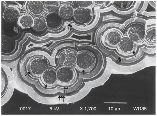 Materials 15 08521 g013 550