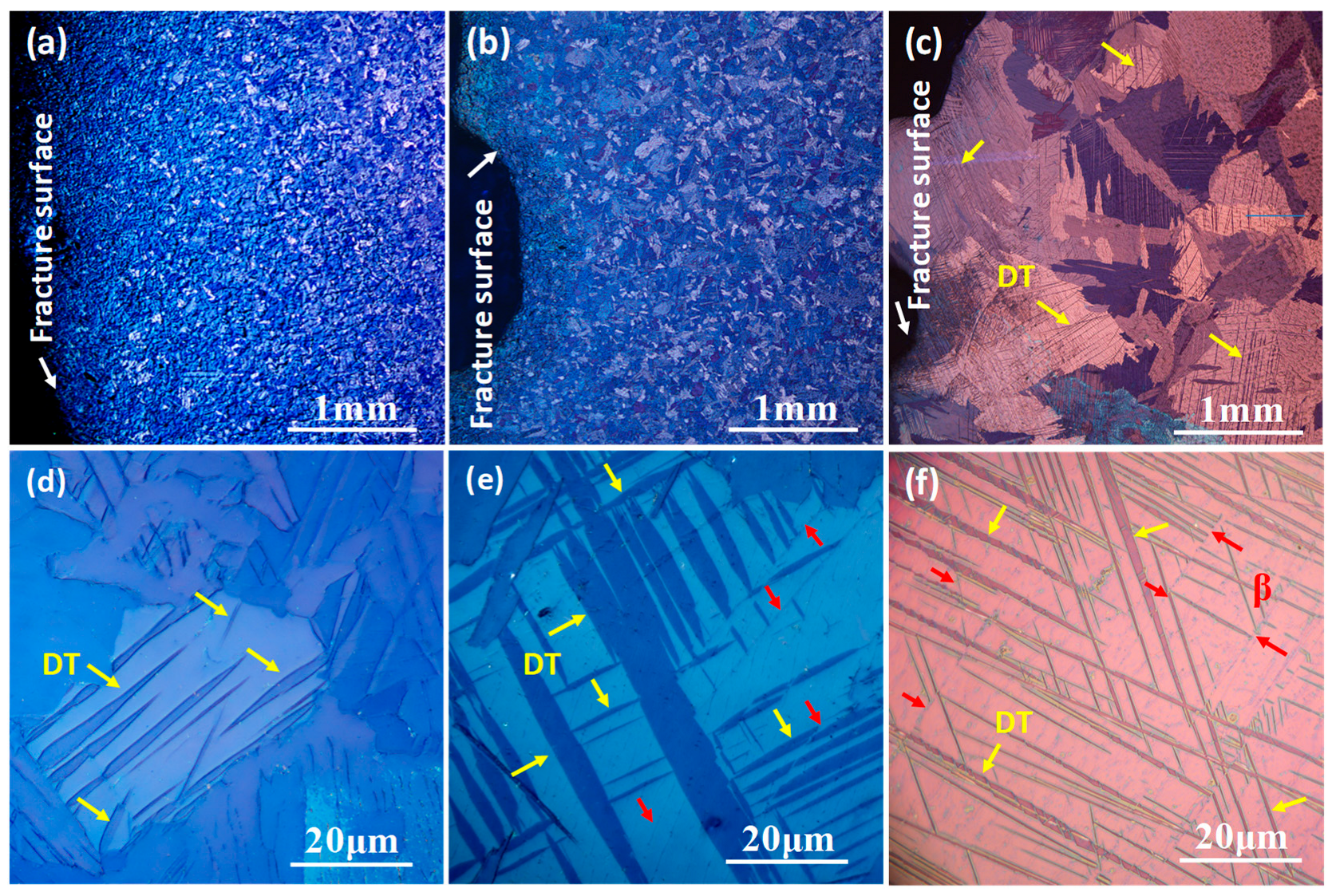 Materials 15 08537 g005