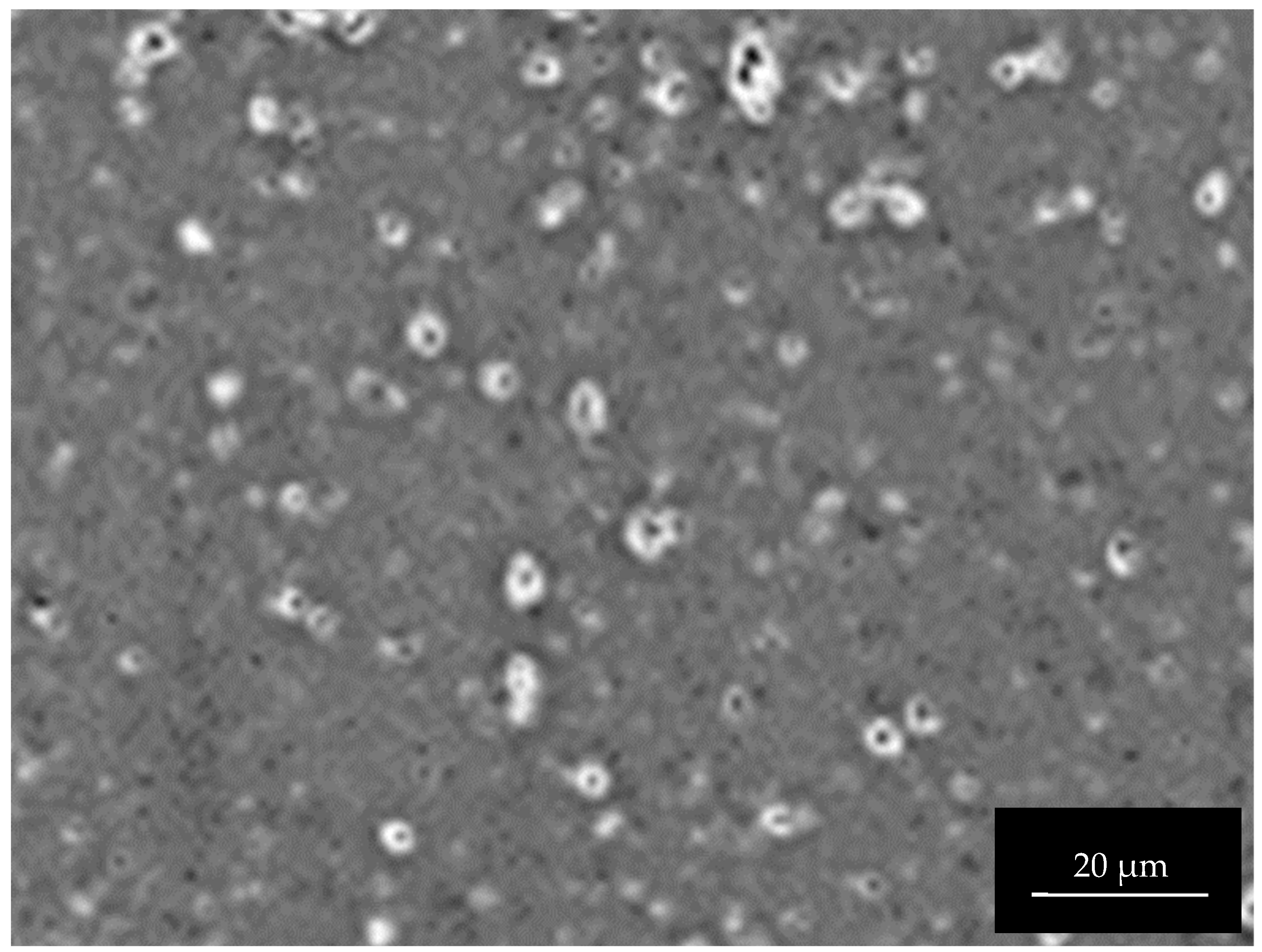 Materials 15 08544 g0a2 Materials 15 08544 g0a2