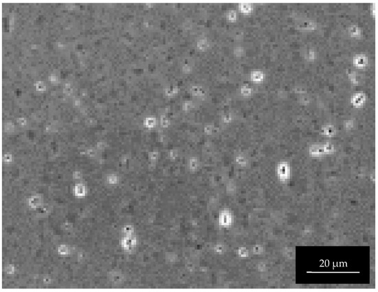 Materials 15 08544 g0a3