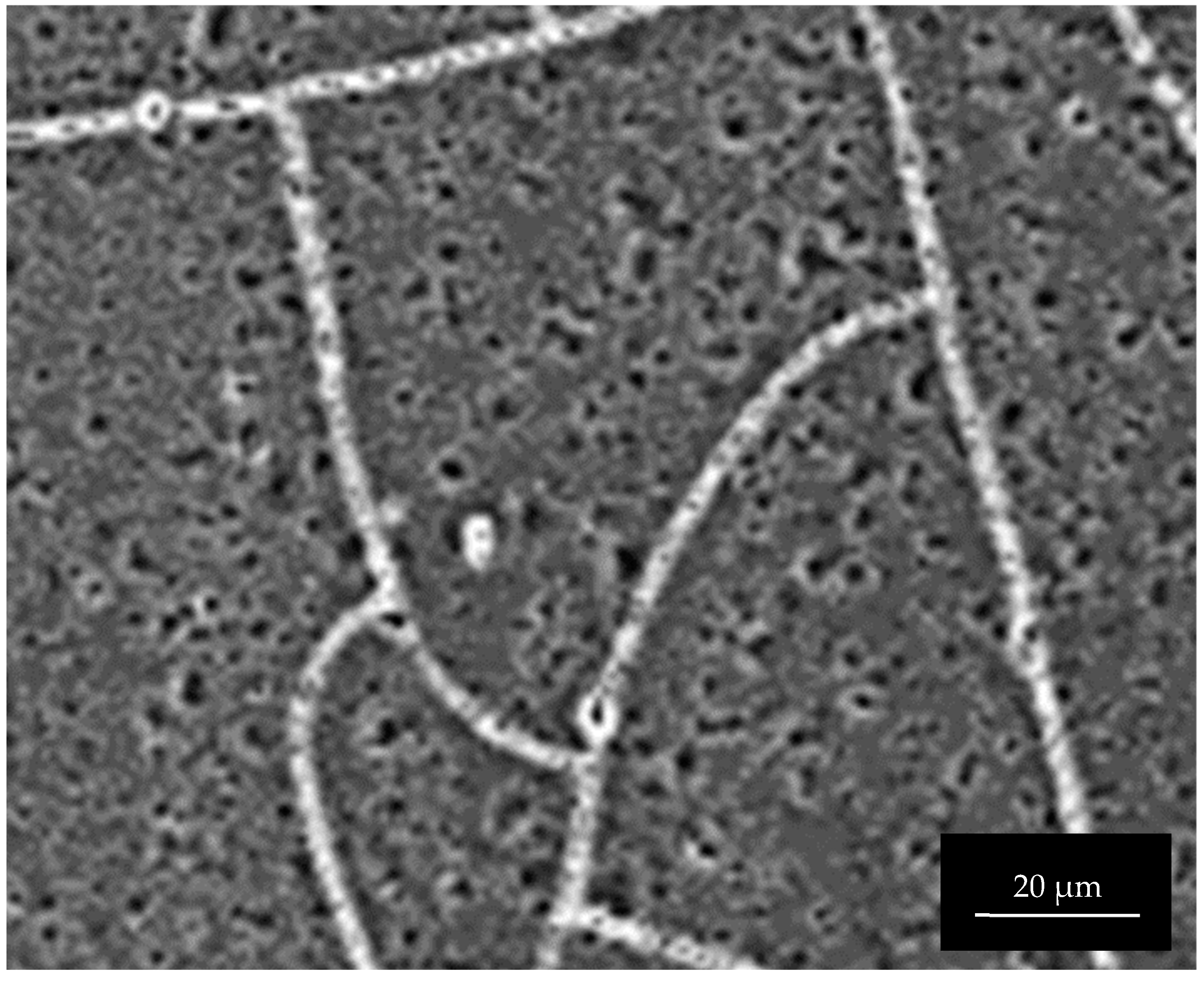 Materials 15 08544 g0a6 Materials 15 08544 g0a6