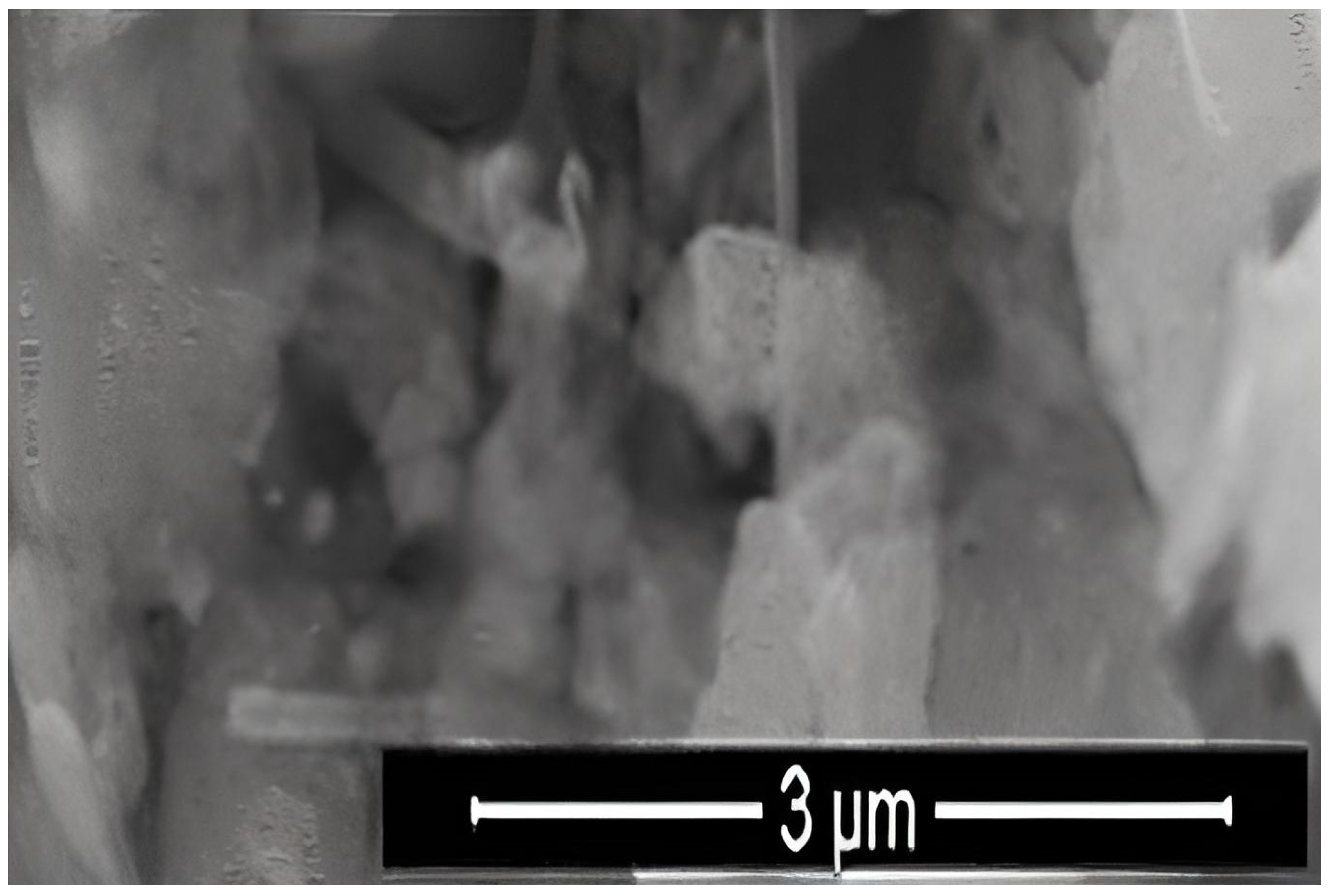 Materials 15 08683 g004