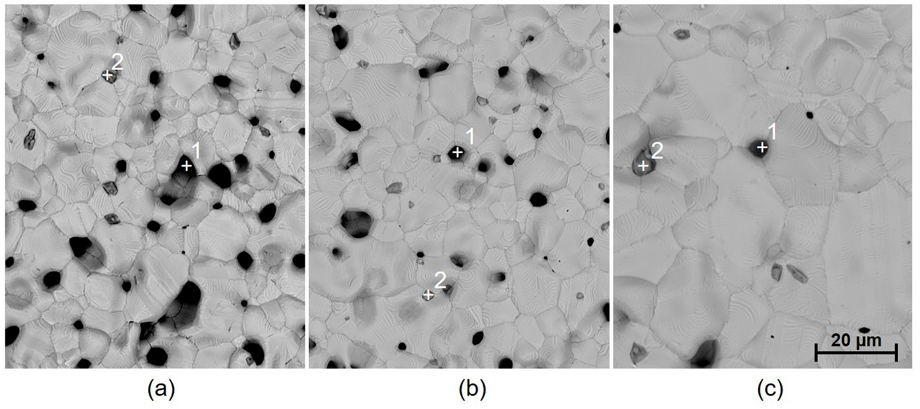 Materials 15 08686 g008