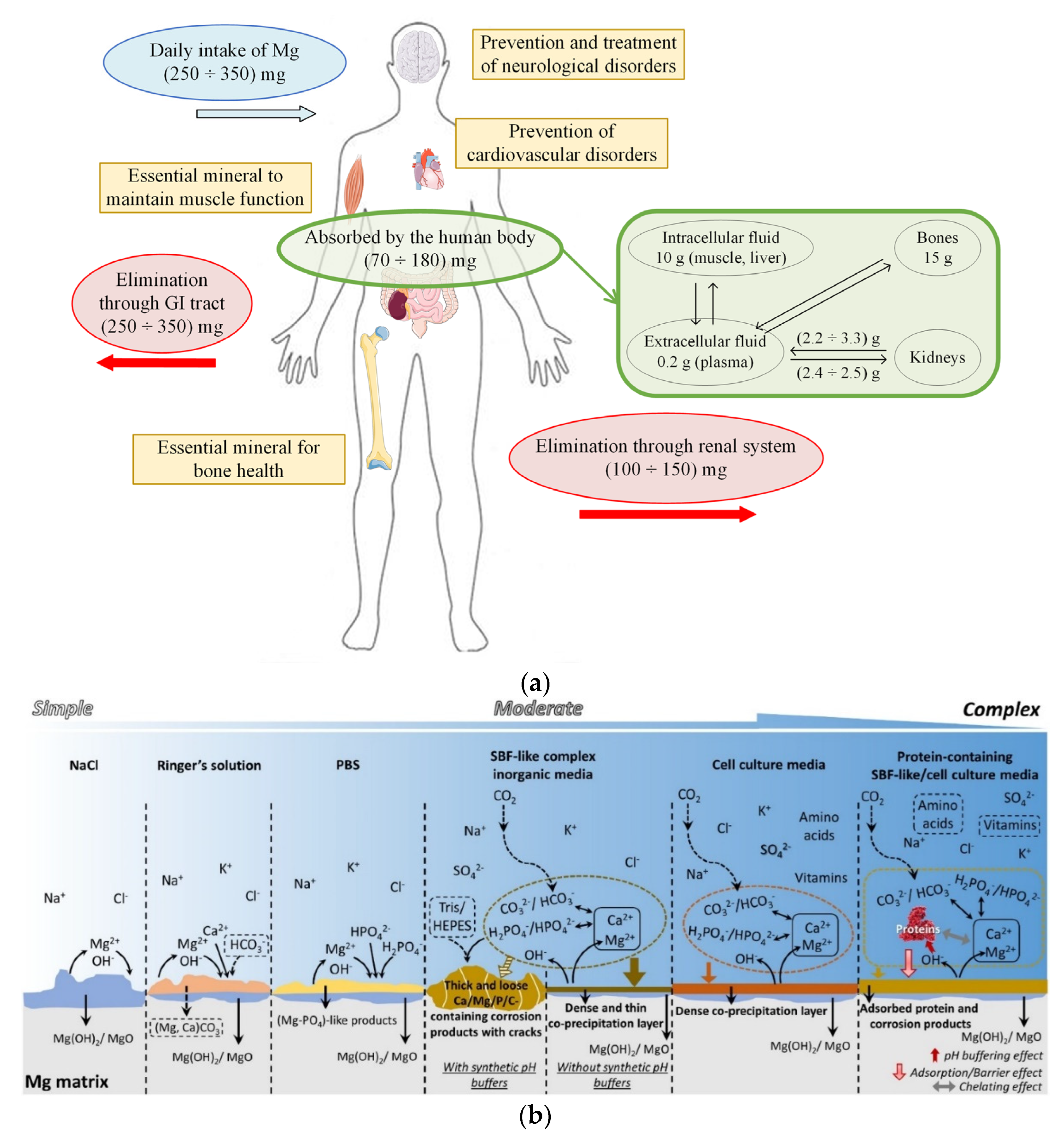 Materials 15 08693 g002