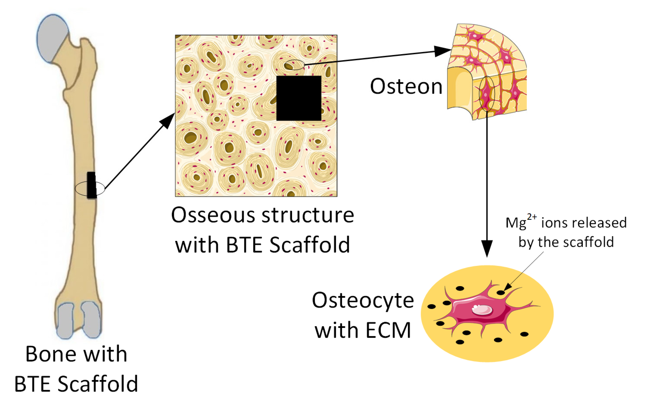 Materials 15 08693 g003