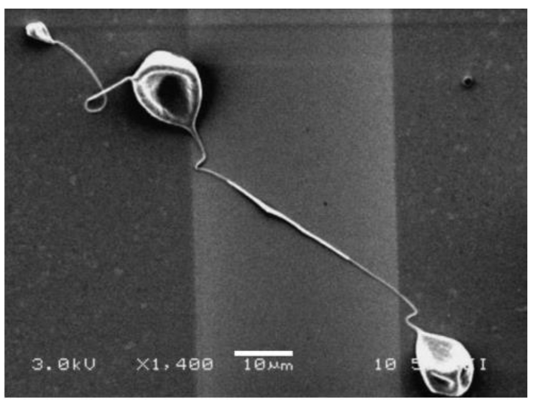 Materials 15 08820 g011