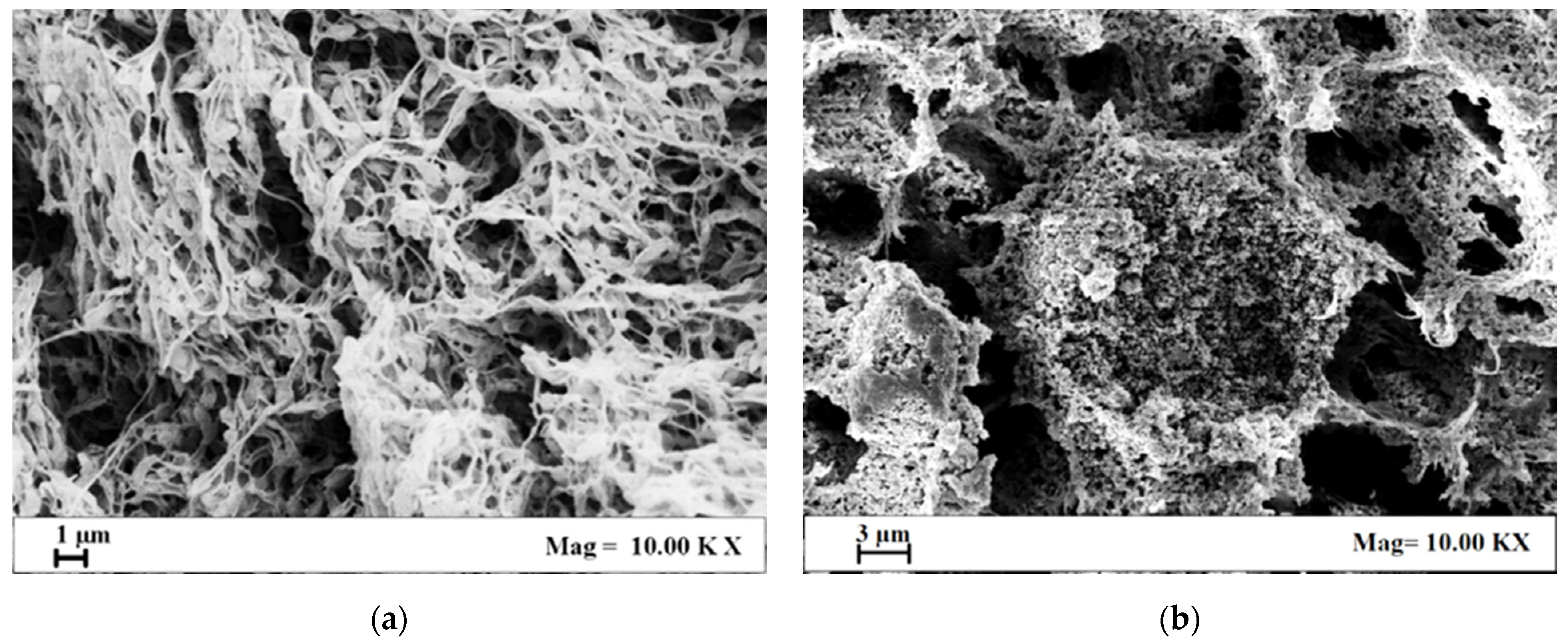 Materials 15 08894 g002a Materials 15 08894 g002a