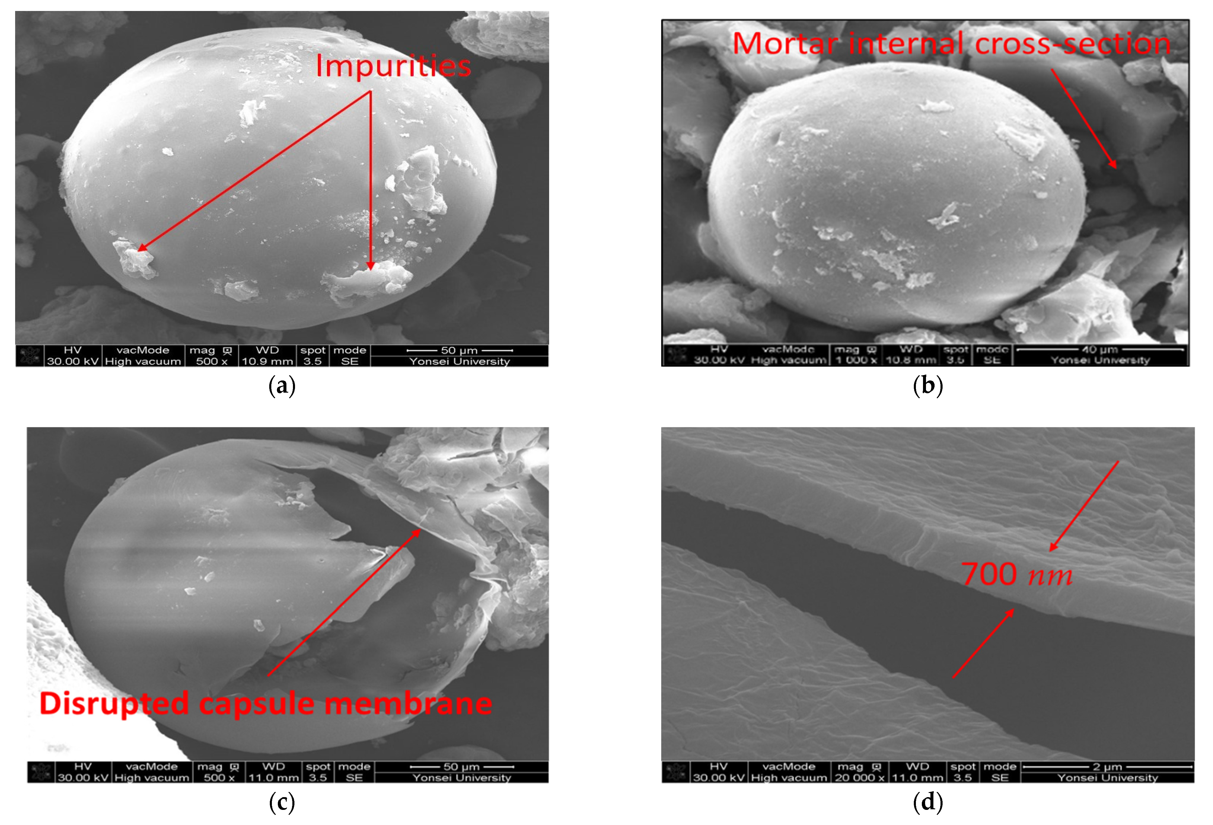 Materials 15 08907 g005 Materials 15 08907 g005