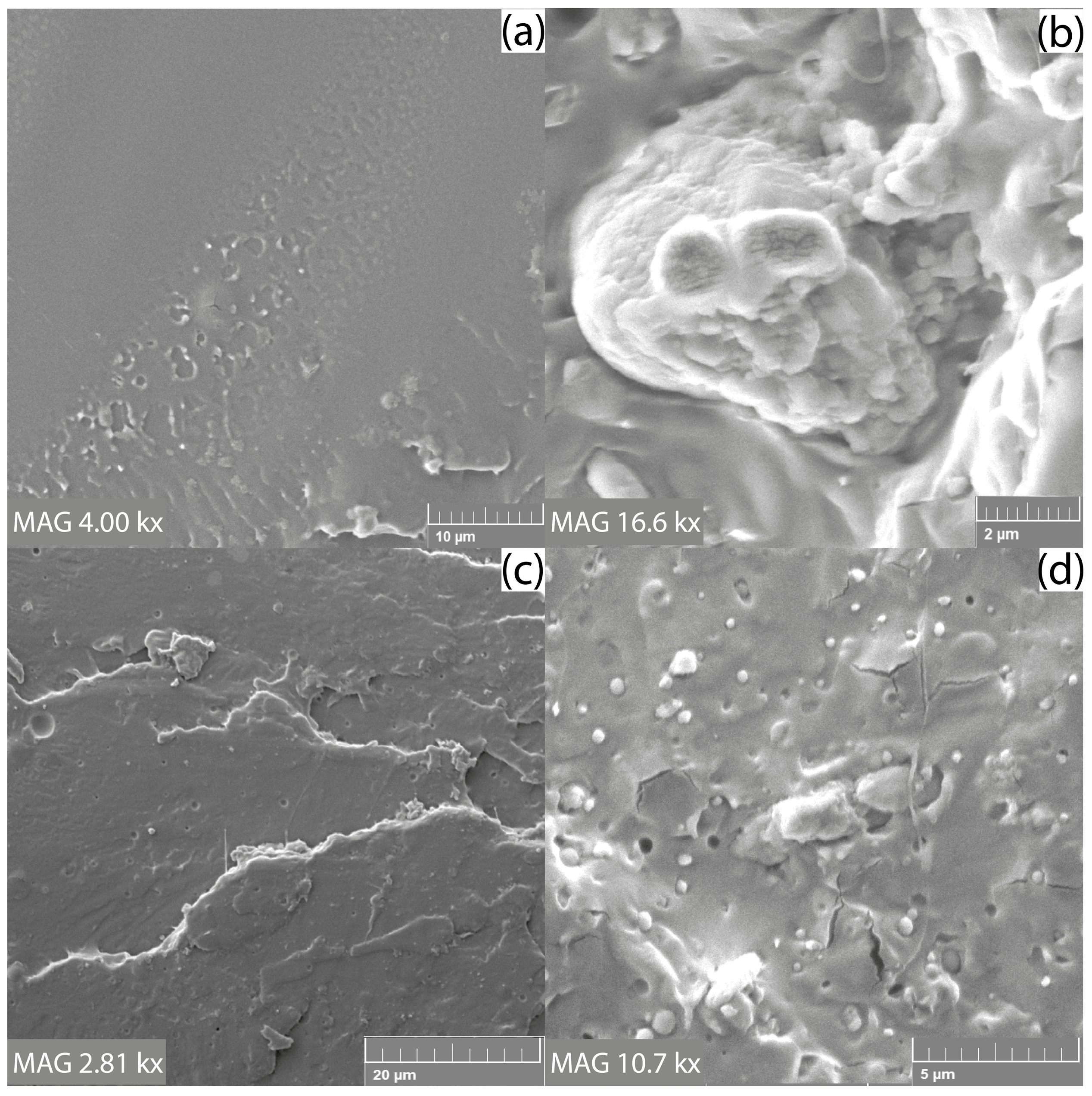 Materials 15 08912 g003 Materials 15 08912 g003