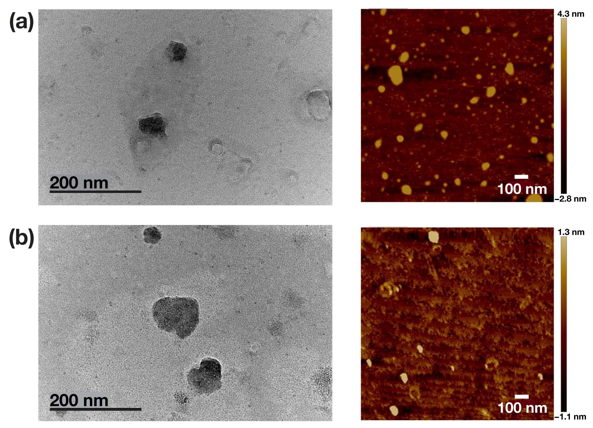 Materials 15 08917 g005