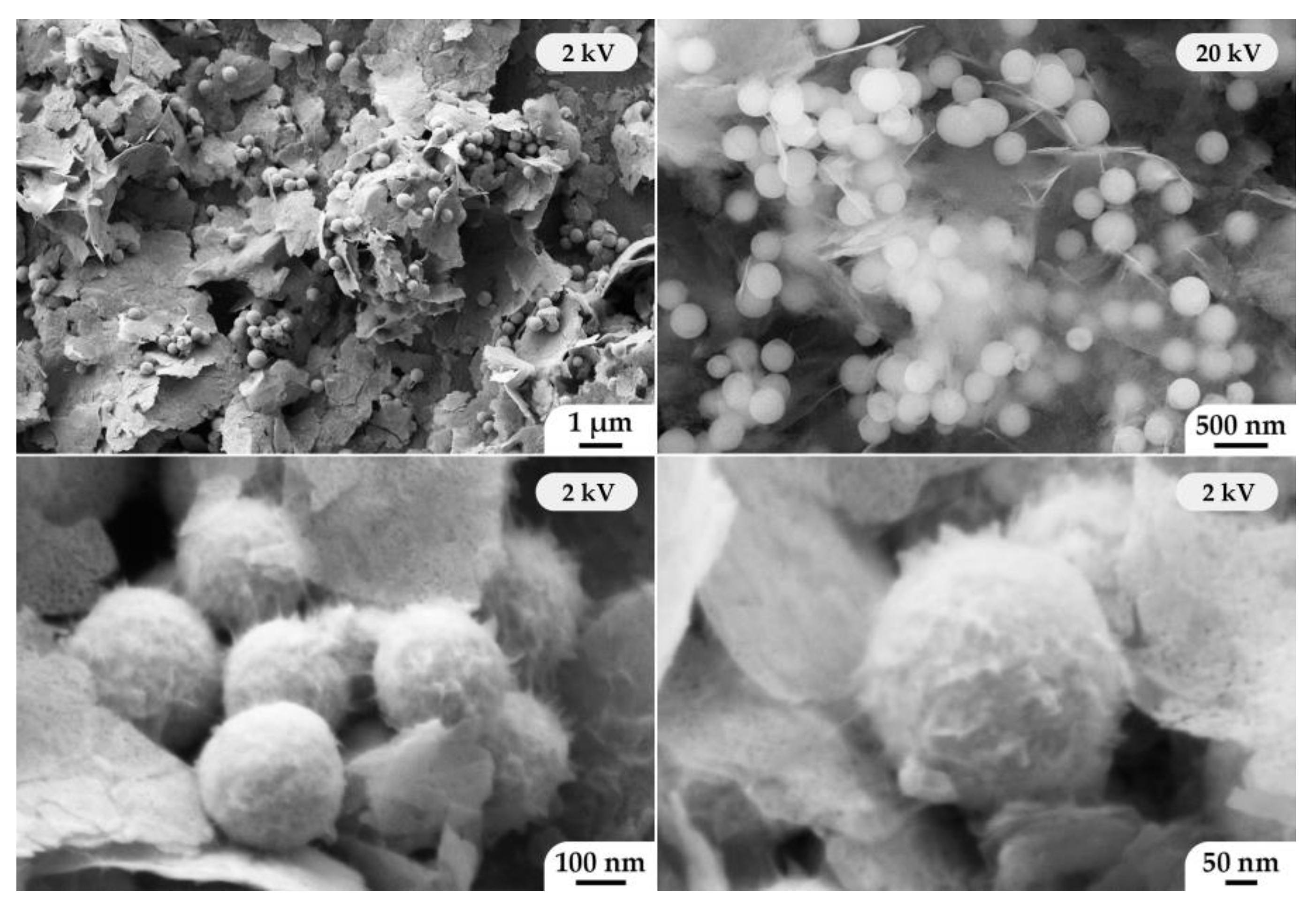 Materials 15 08918 g005