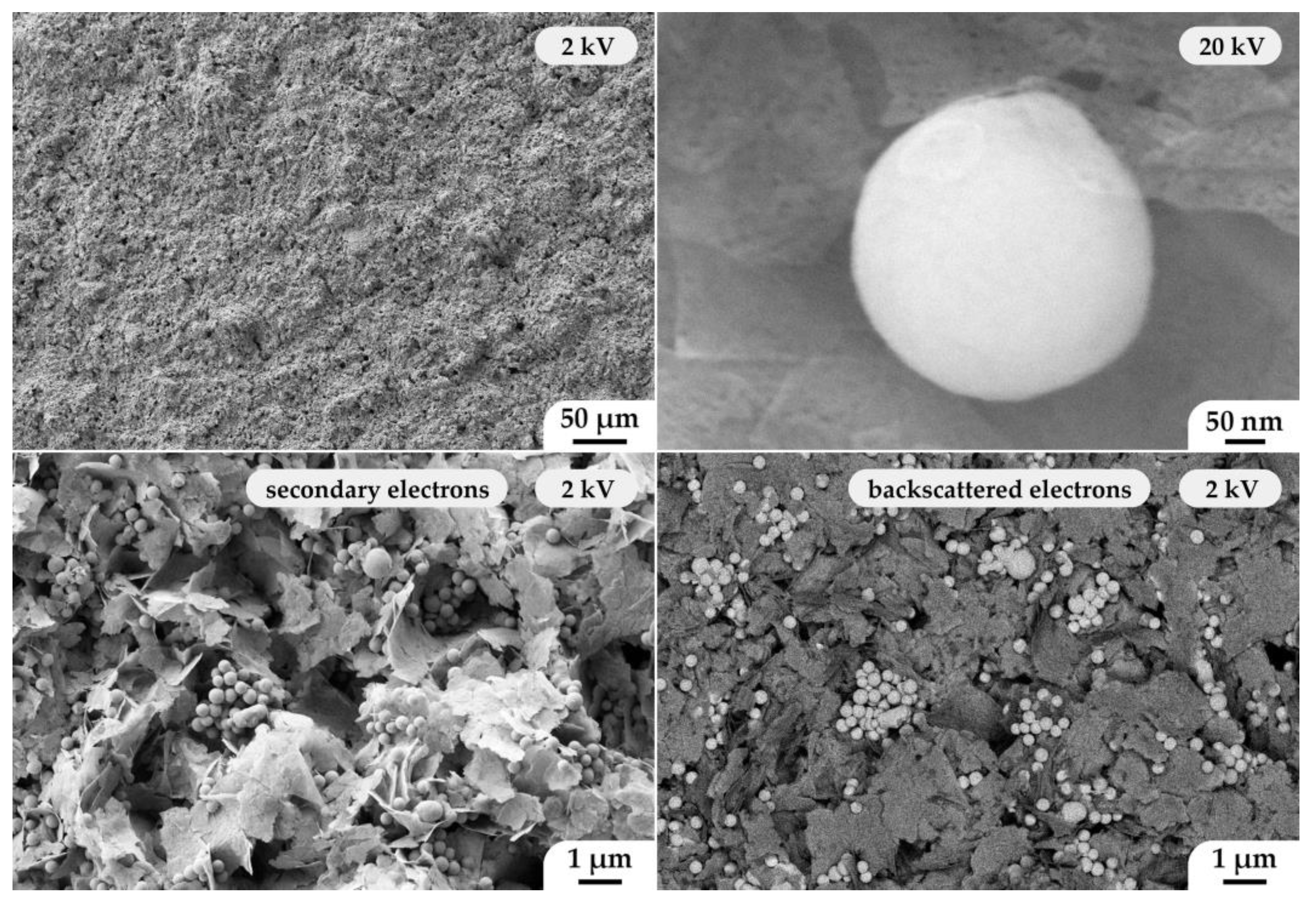 Materials 15 08918 g008