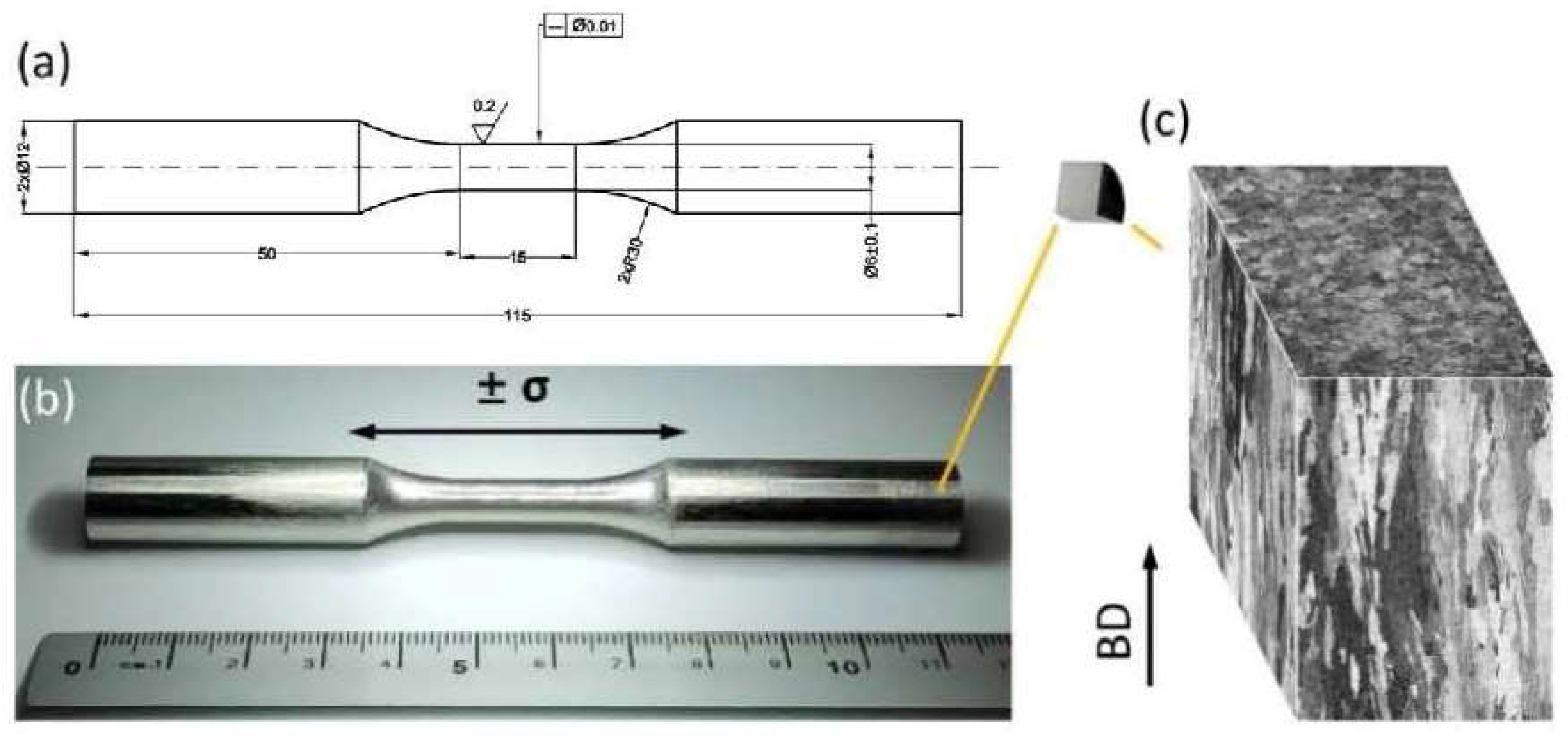 Materials 15 08925 g001 Materials 15 08925 g001