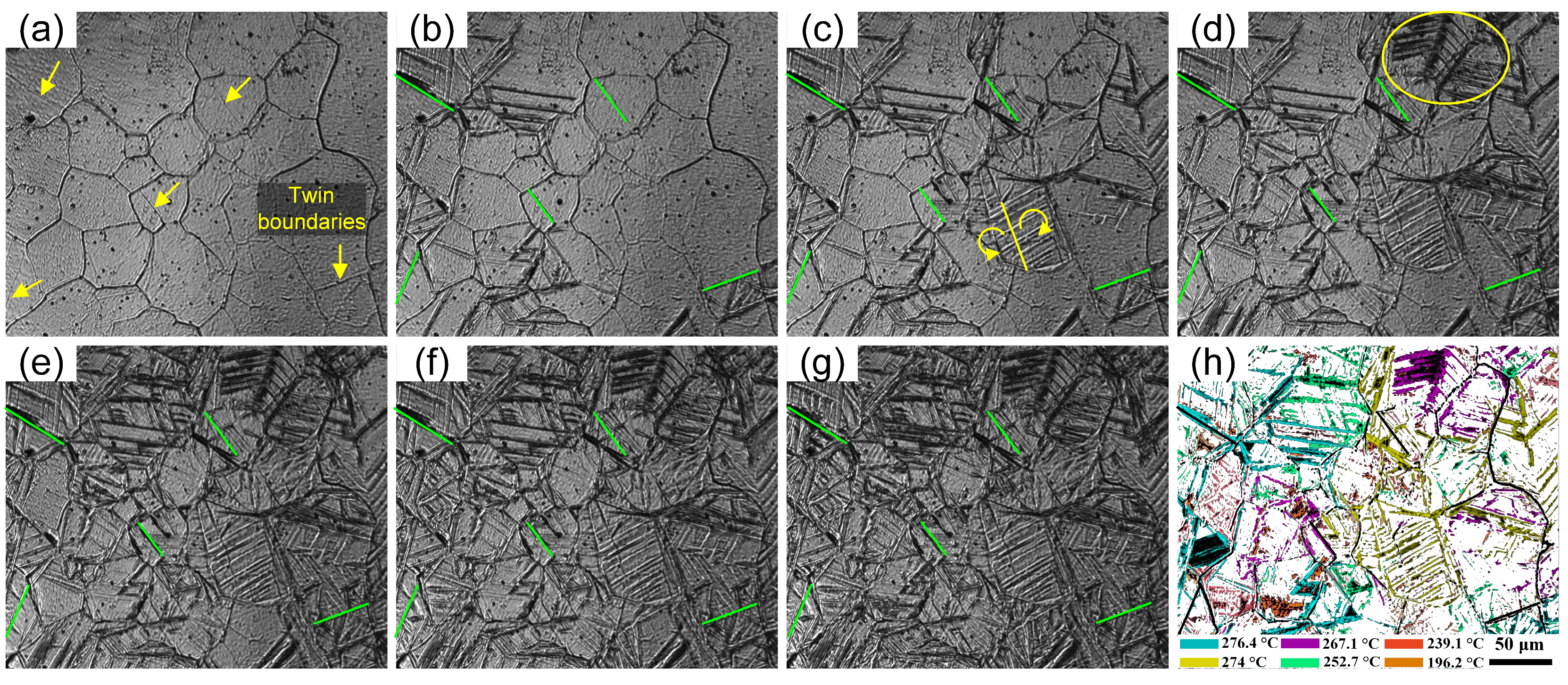 Materials 15 08927 g006