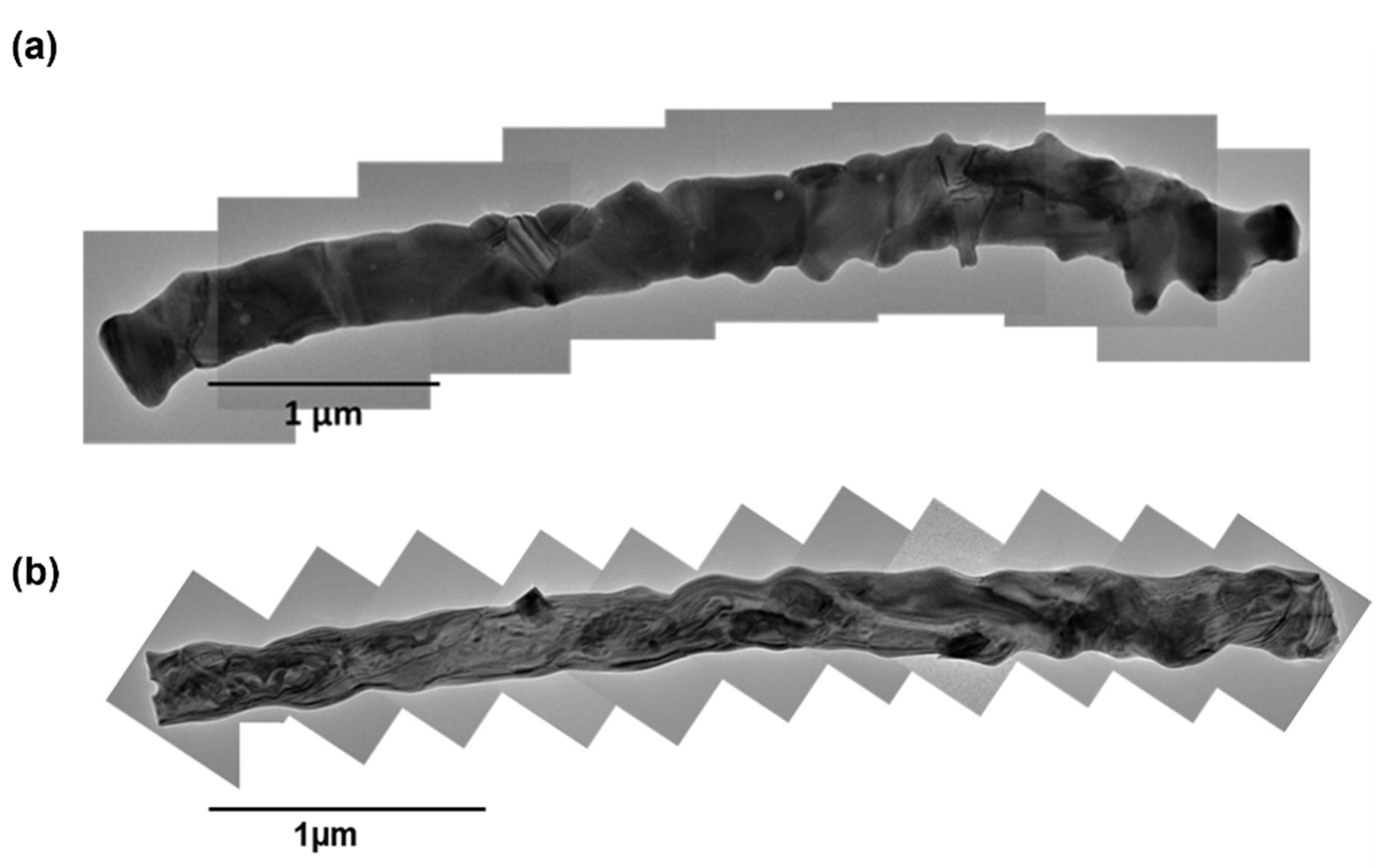 Materials 15 08957 g007