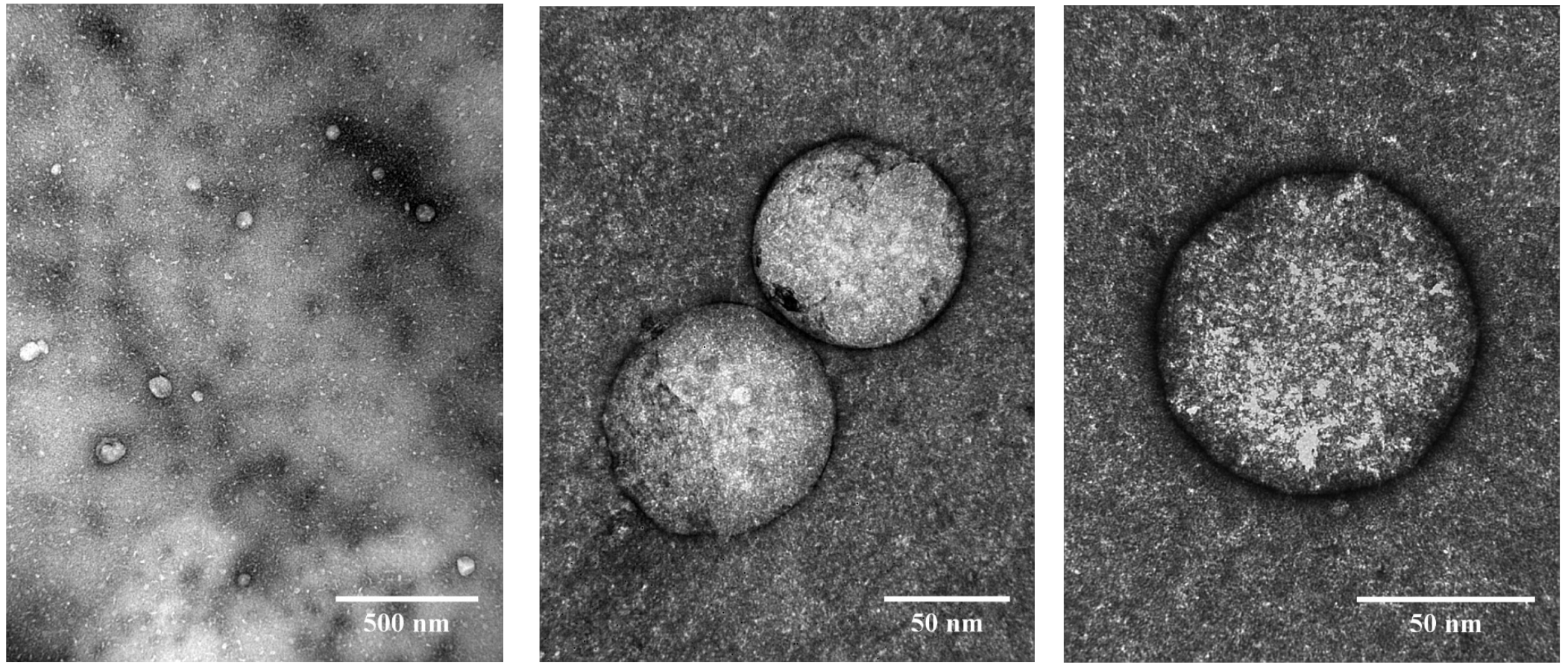 Materials 15 08981 g002