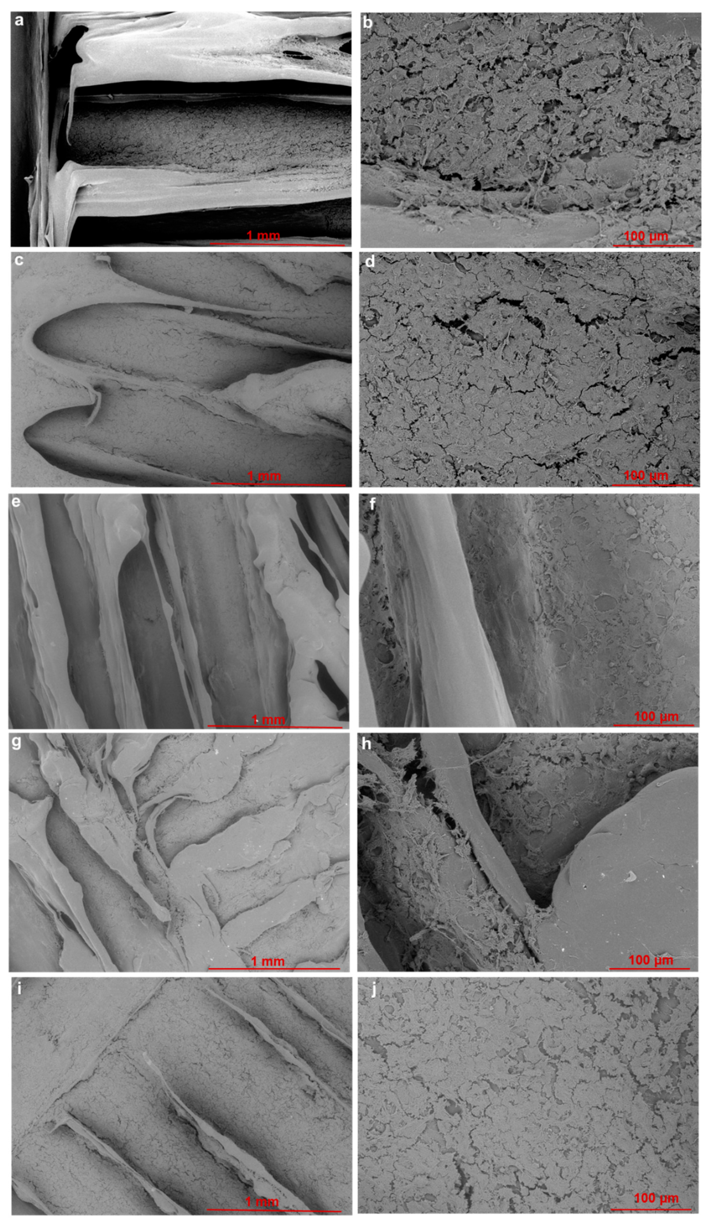 Materials 15 09030 g008