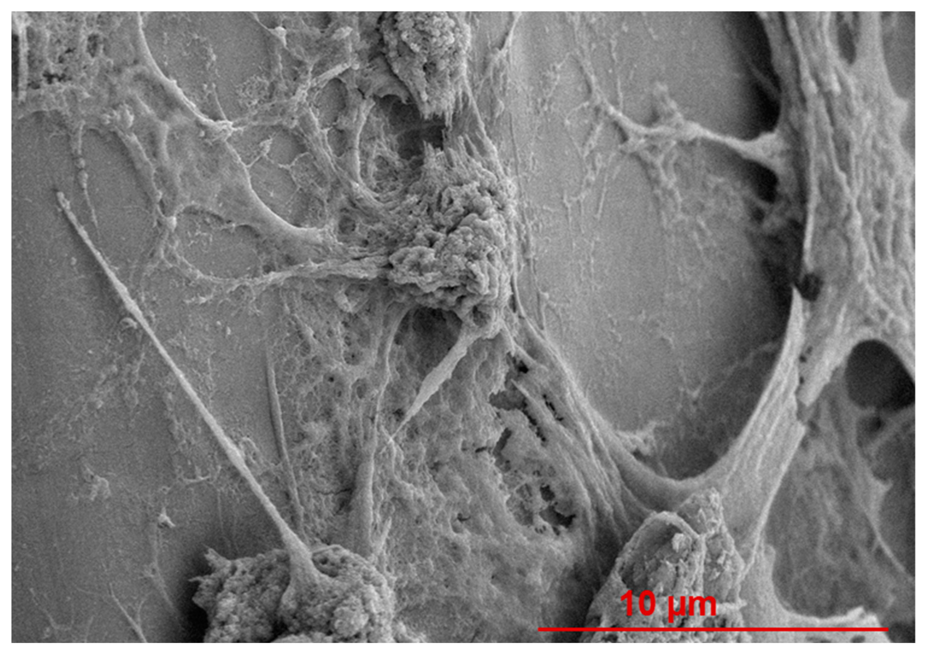 Materials 15 09030 g009