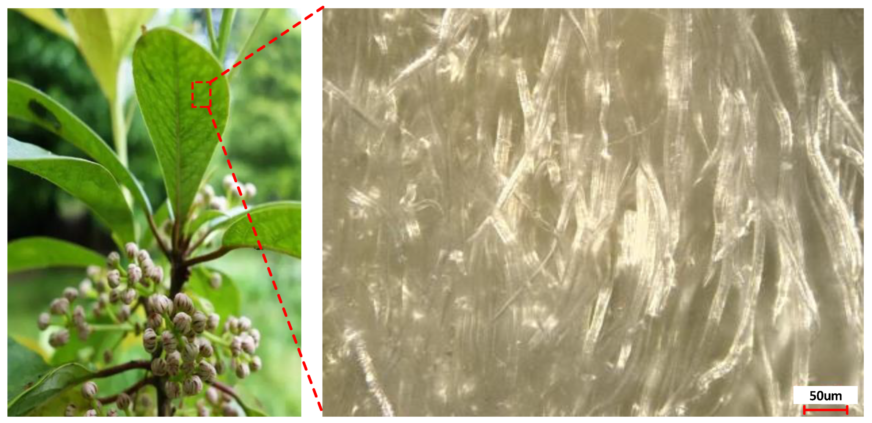 Materials 15 09040 g001