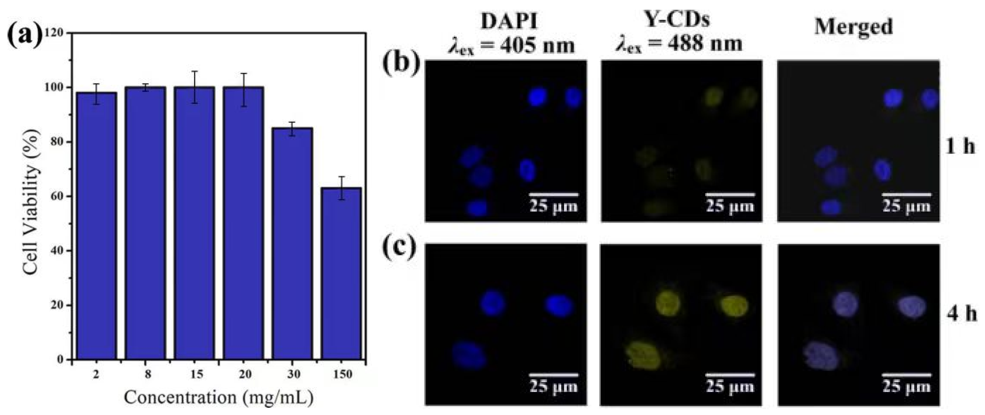 Materials 15 09057 g010