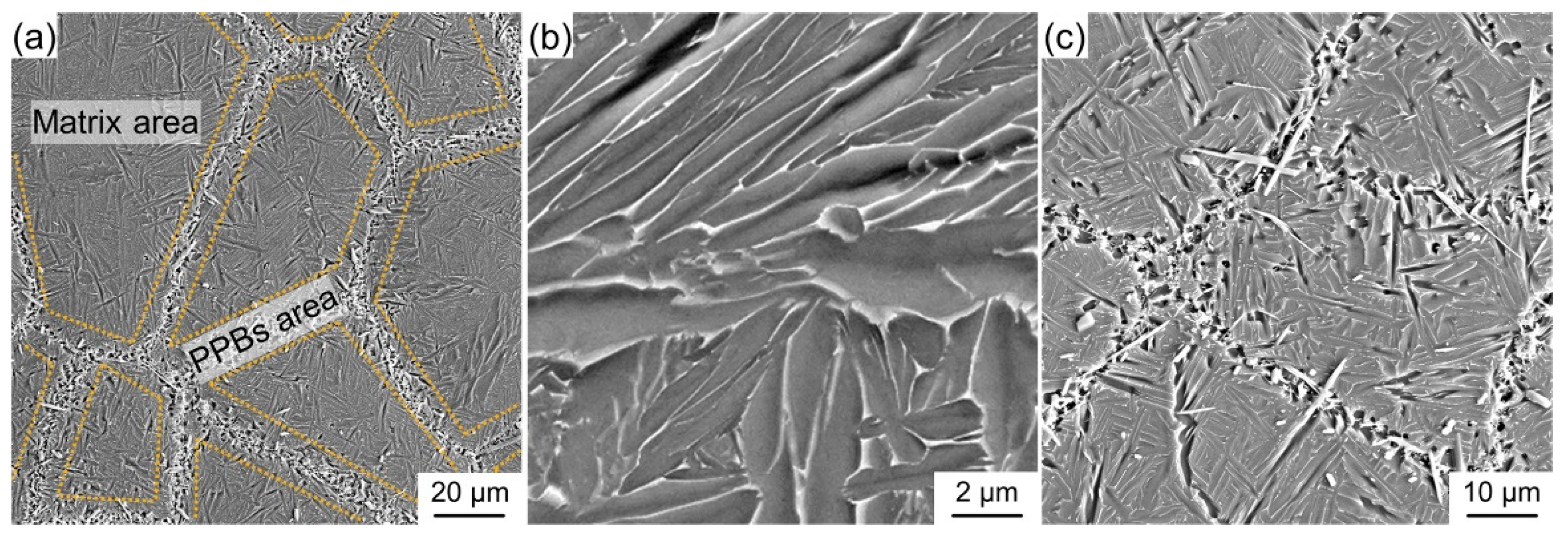 Materials 15 09070 g003