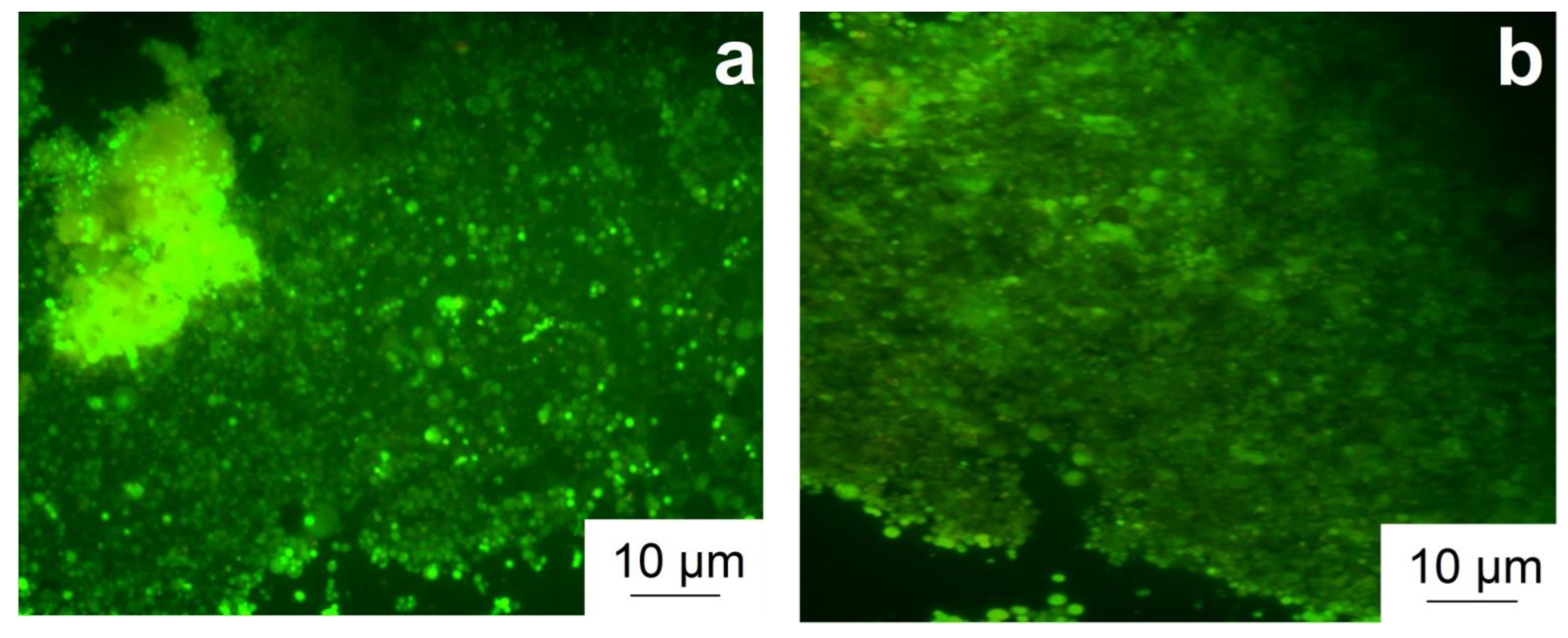 Materials 15 09073 g006 Materials 15 09073 g006