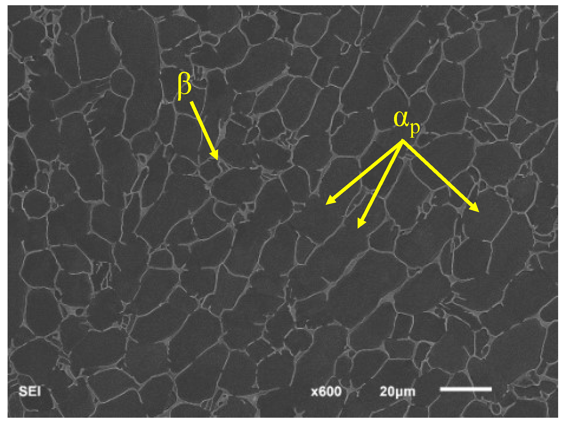 Materials 16 00005 g005
