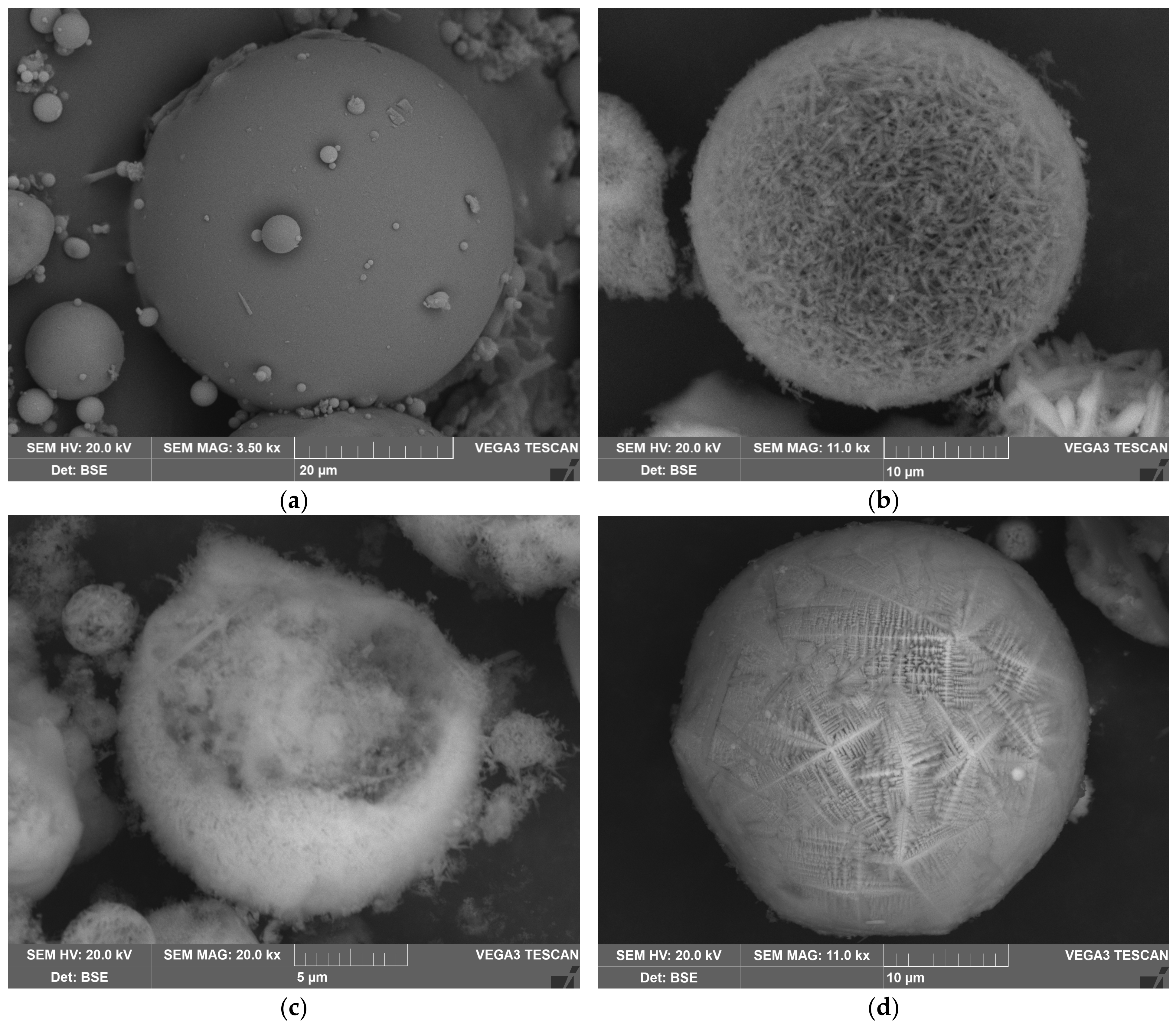 Materials 16 00006 g003