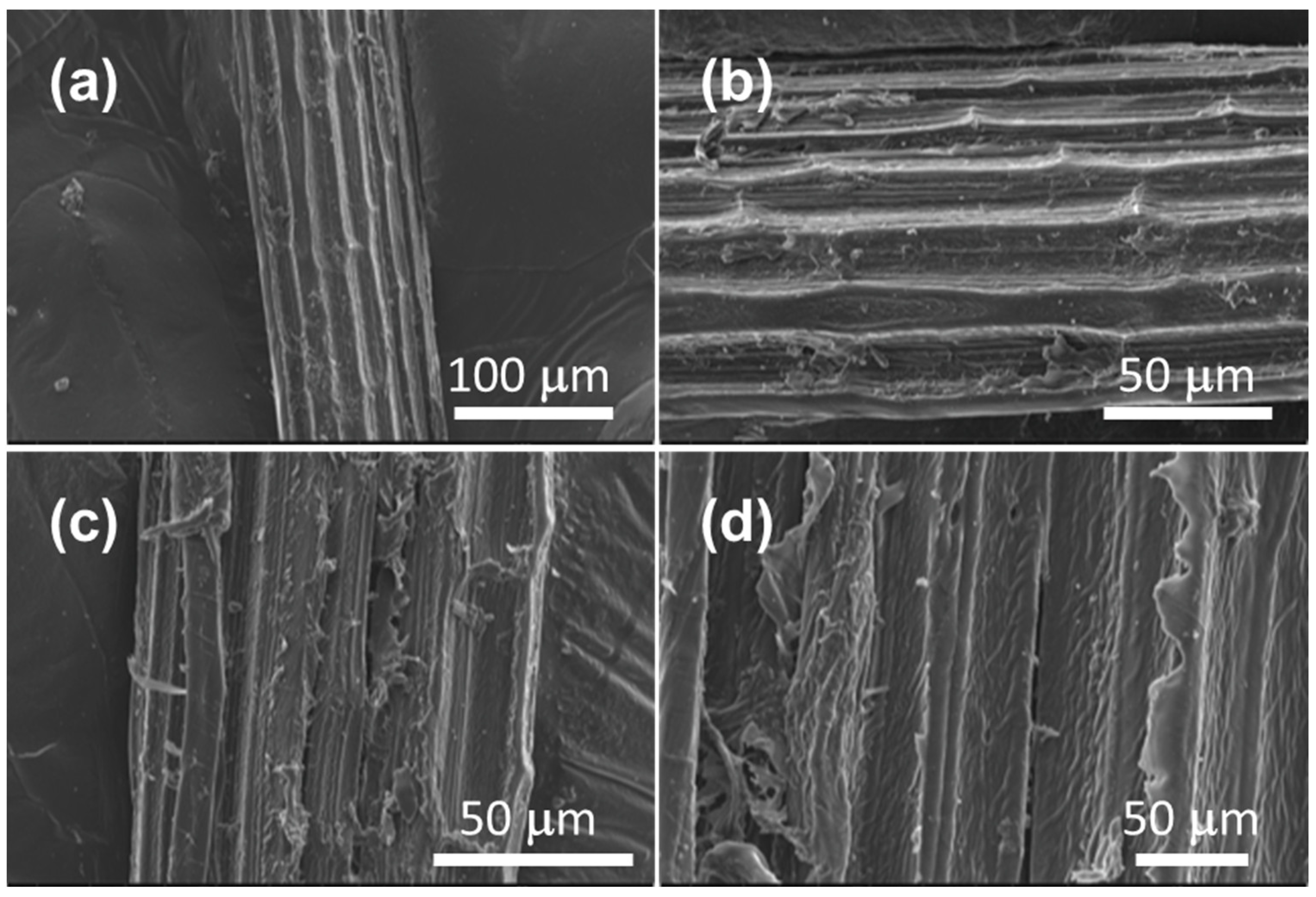 Materials 16 00008 g003