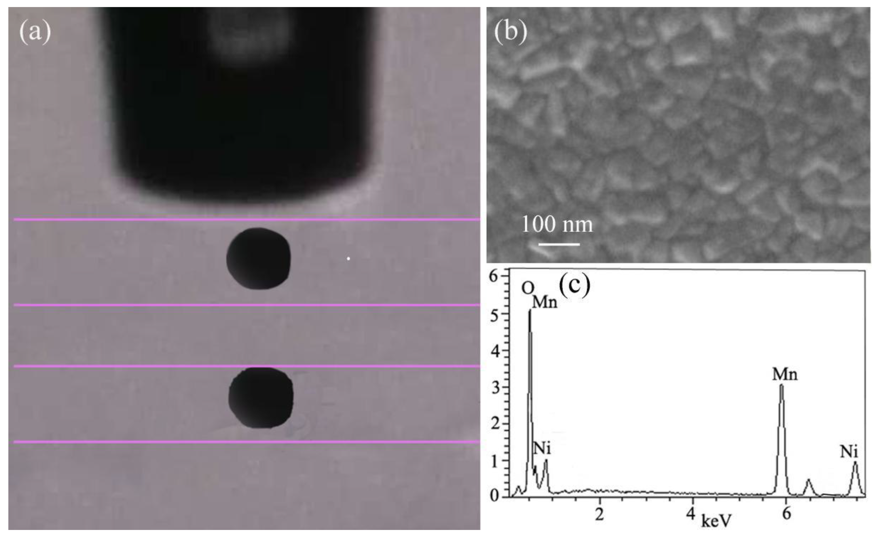 Materials 16 00021 g007