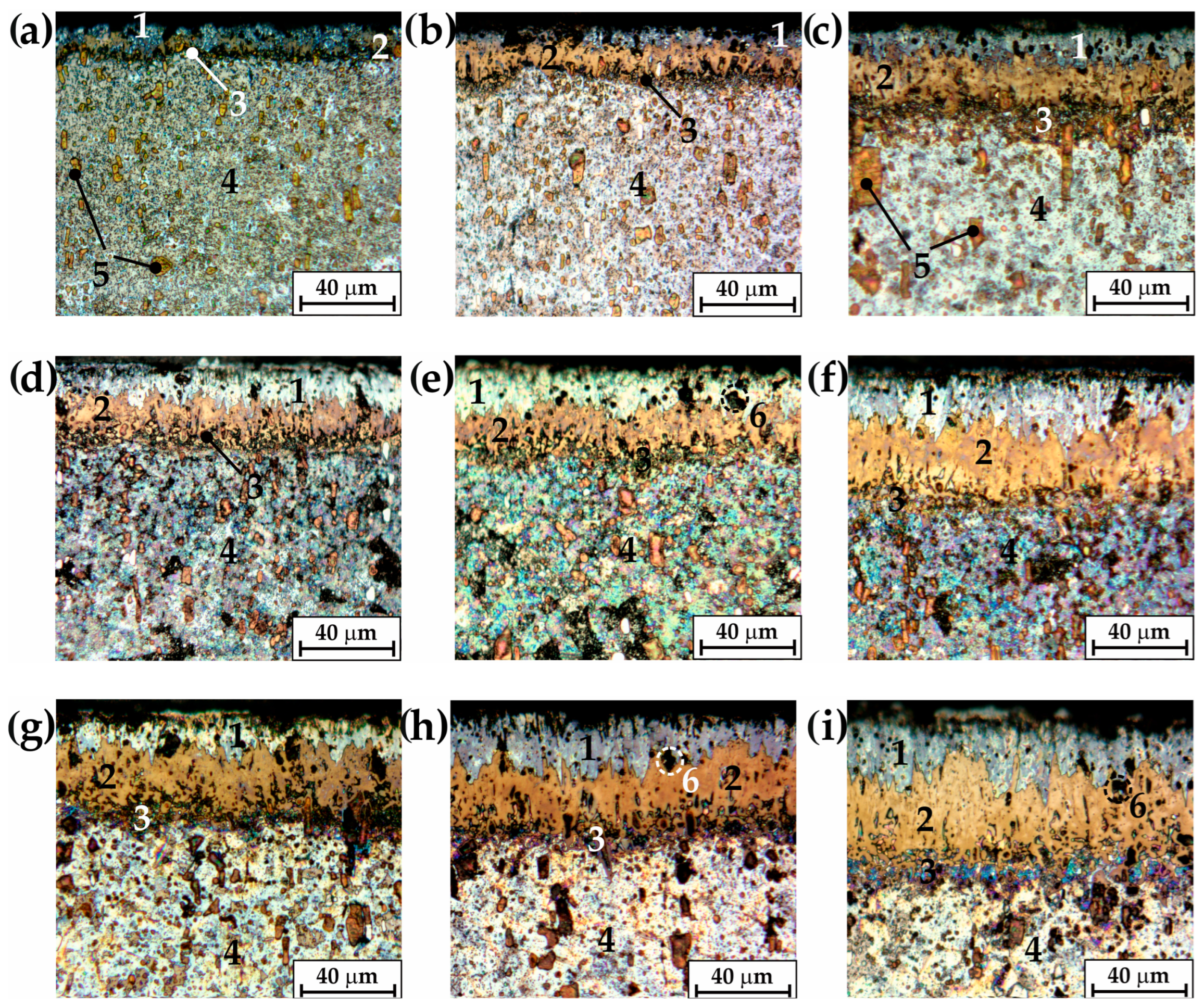 Materials 16 00026 g006